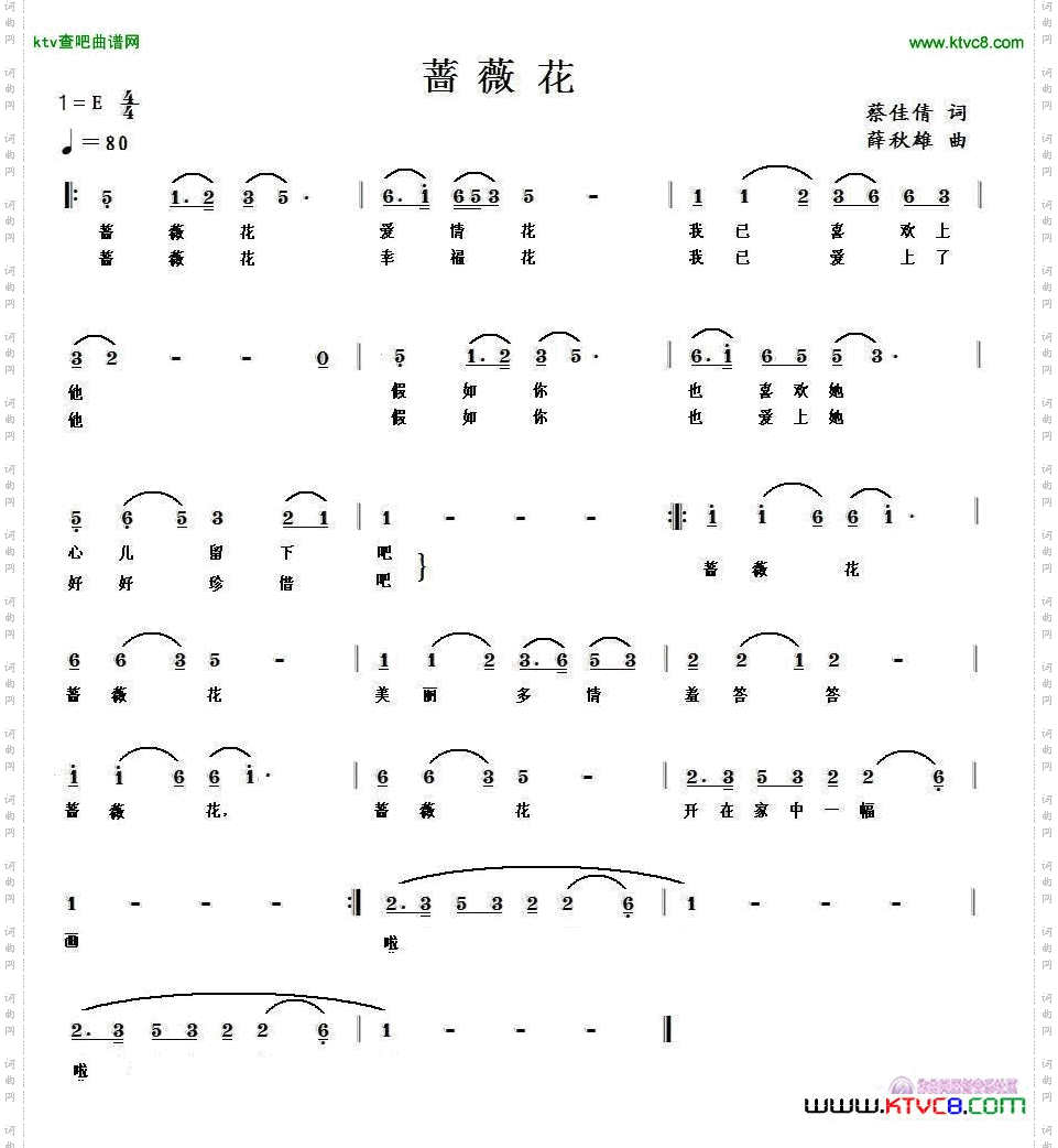 蔷薇花