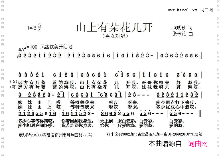 山上有朵花儿开