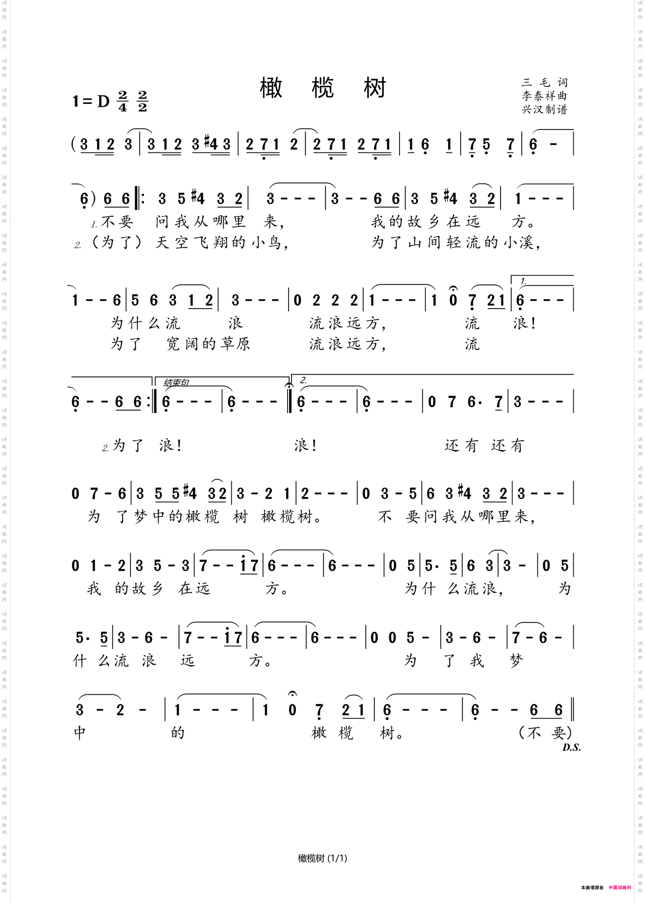 橄榄树