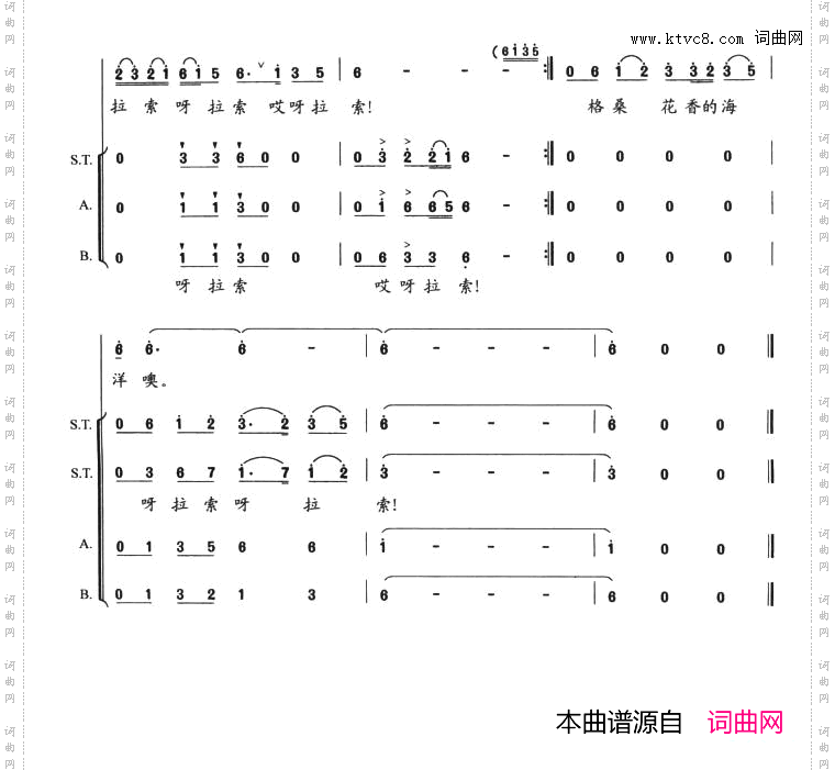 格桑花香