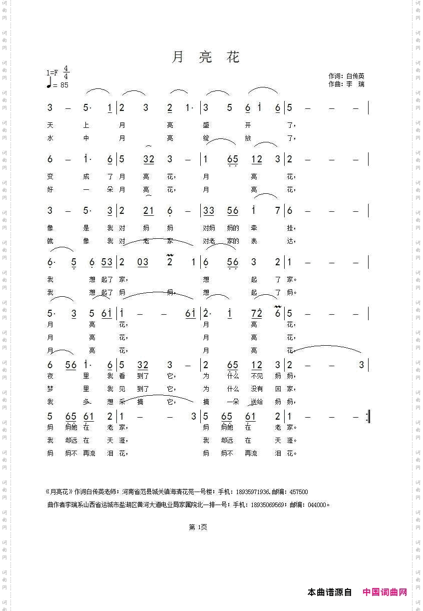月亮花
