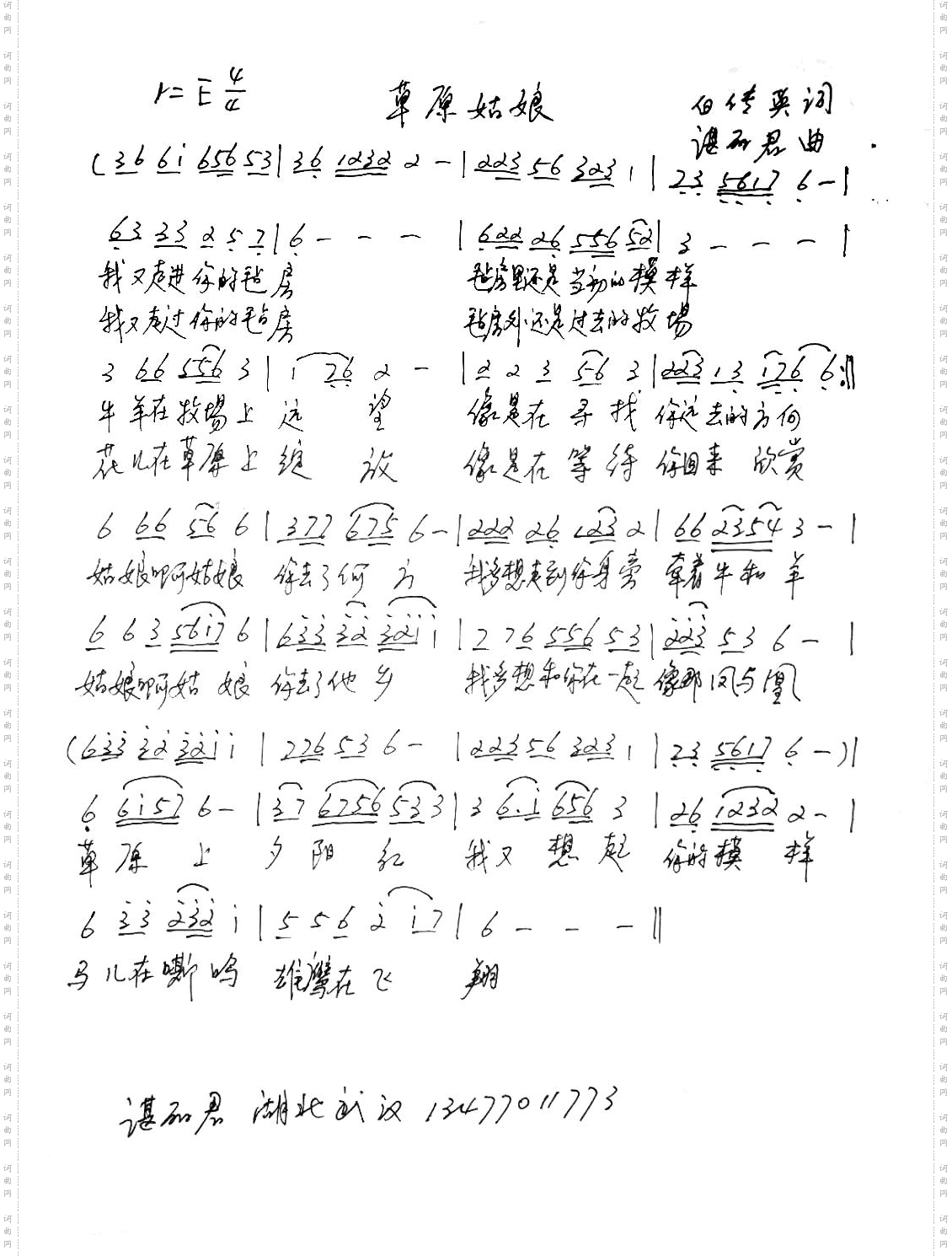 草原姑娘