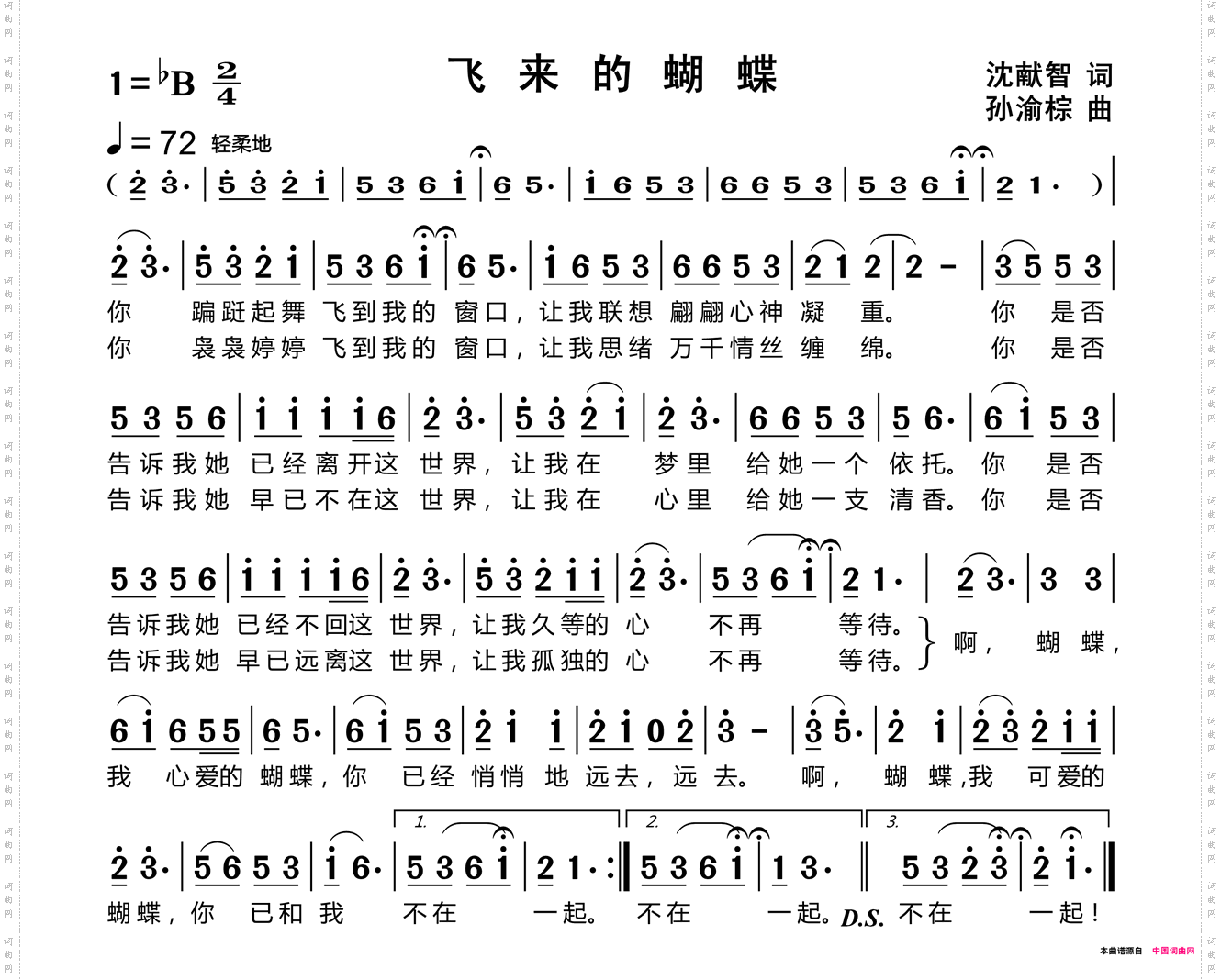 飞来的蝴蝶