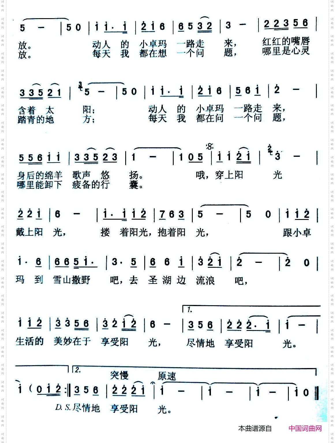 享受阳光