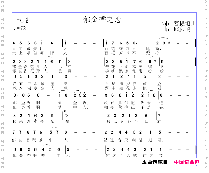郁金香之恋