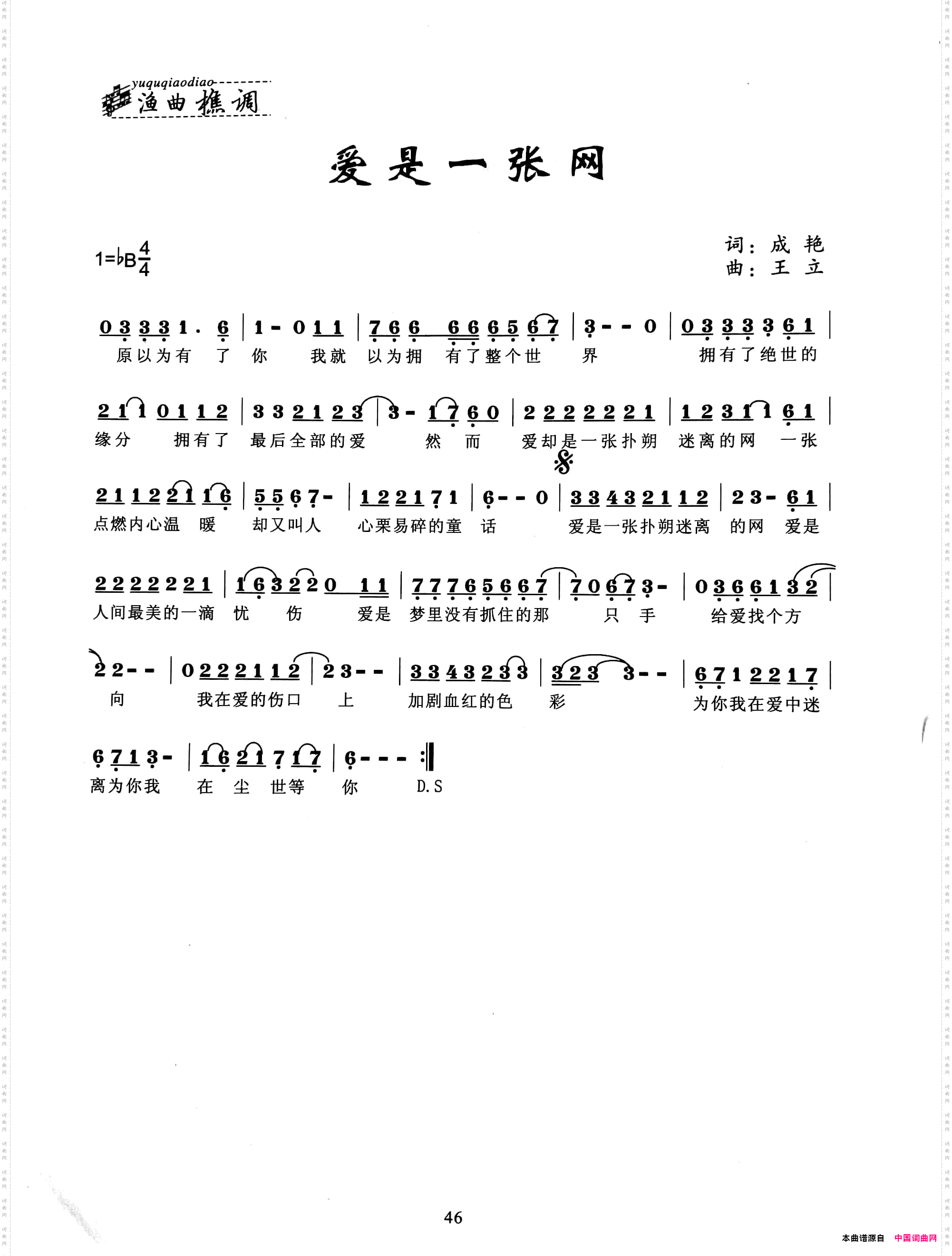 我是一张网