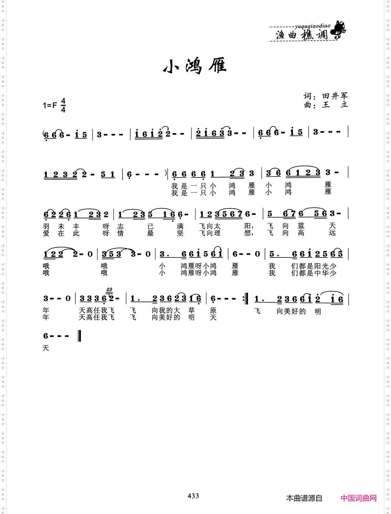 小鸿雁