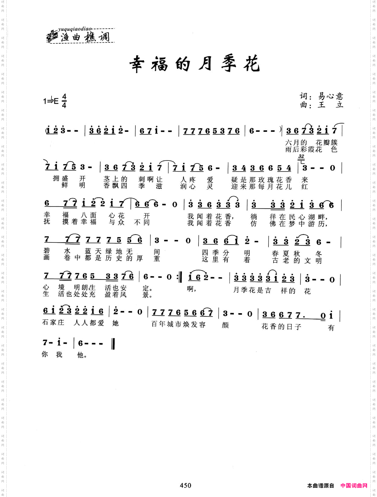 幸福的月季花