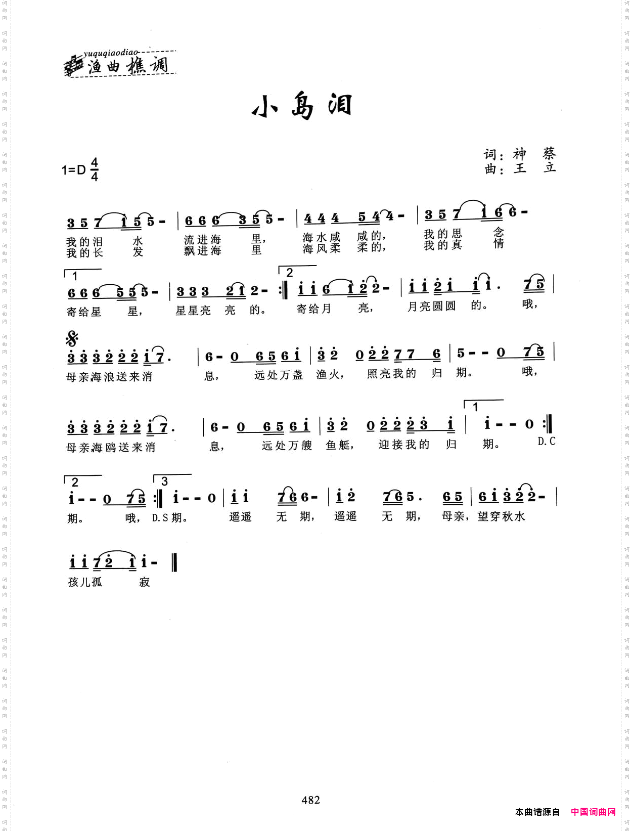 小岛泪