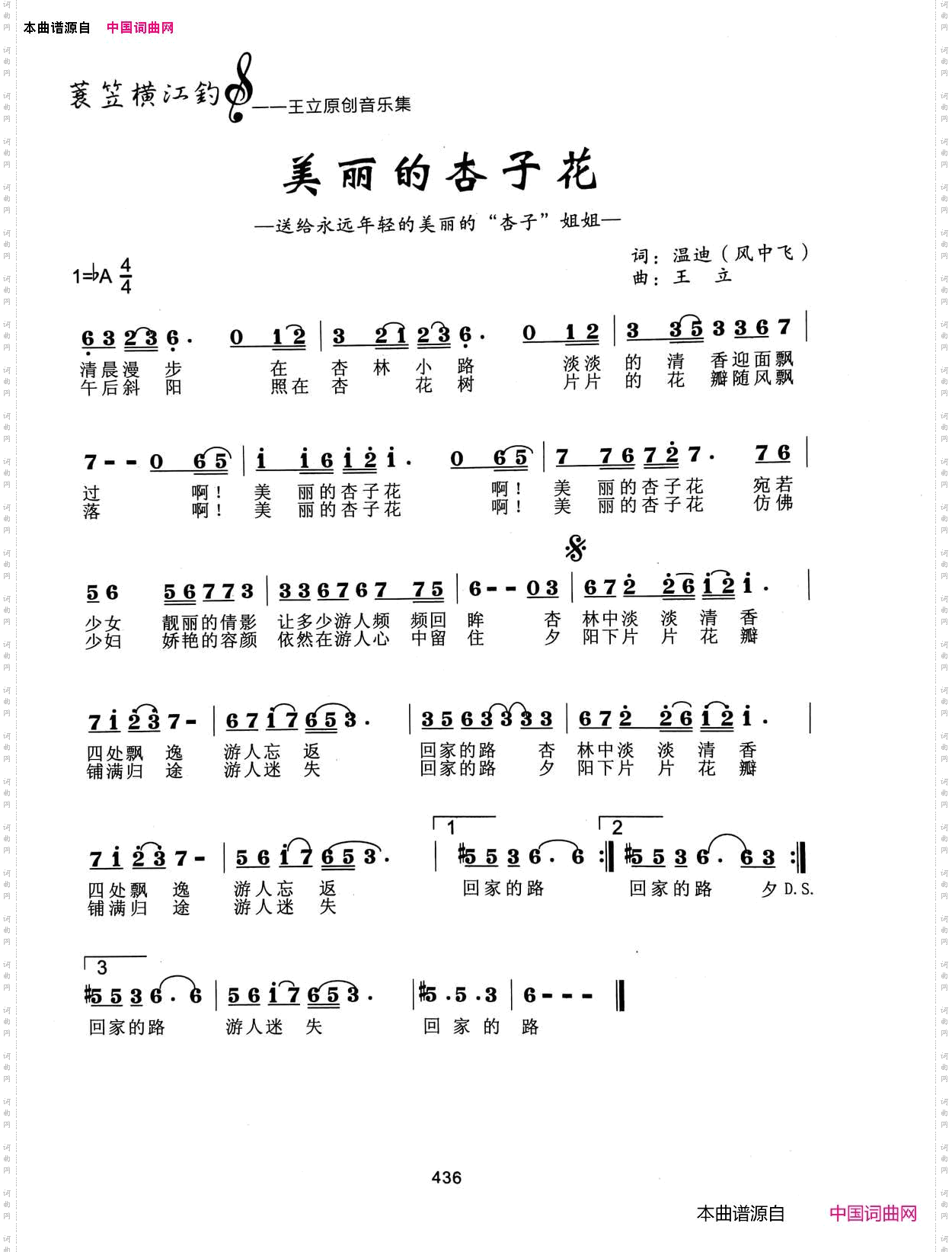 美丽的杏子花