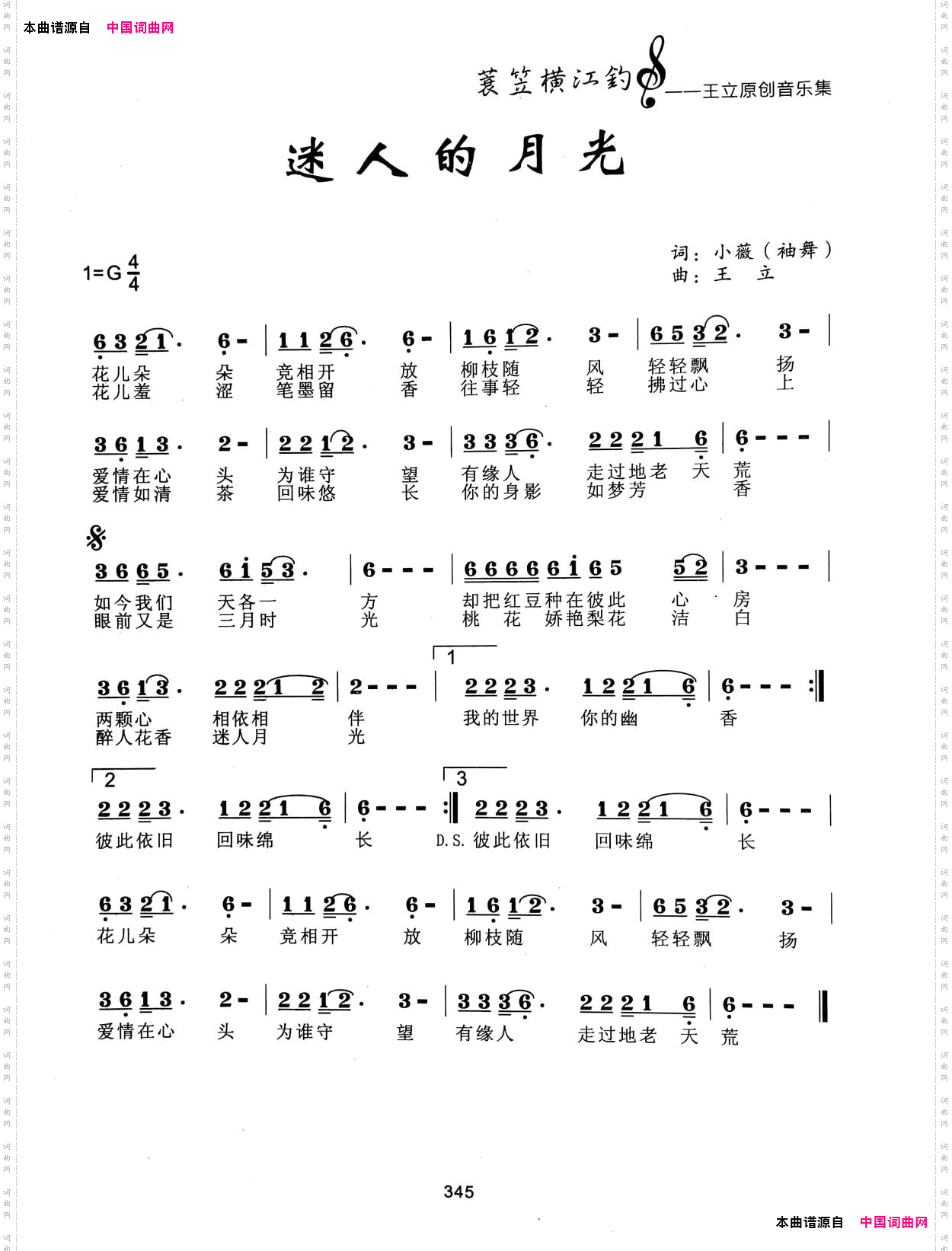 迷人的月光