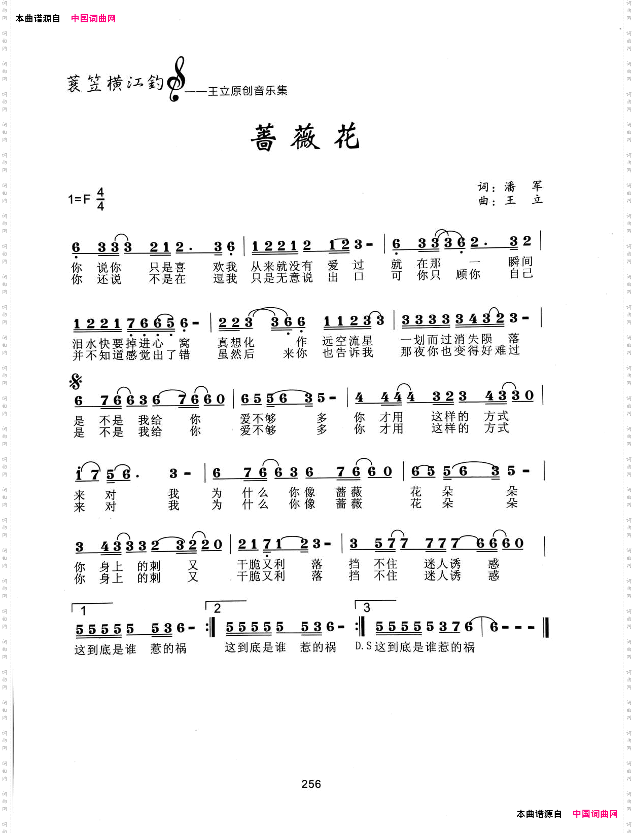 蔷薇花