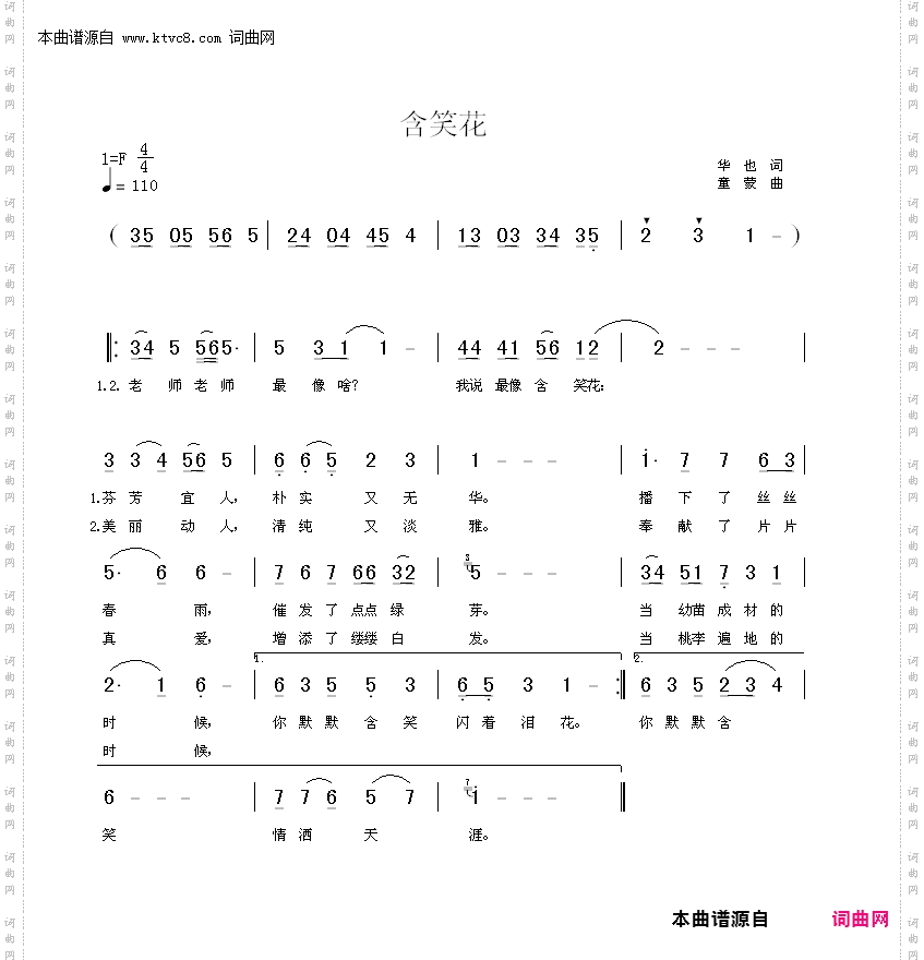 含笑花