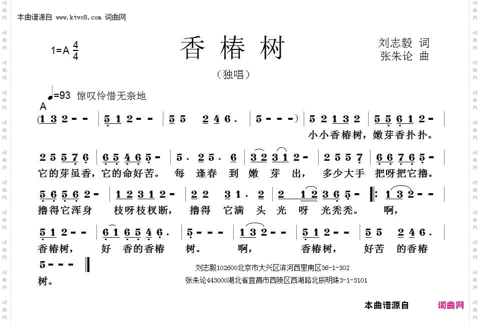 香椿树