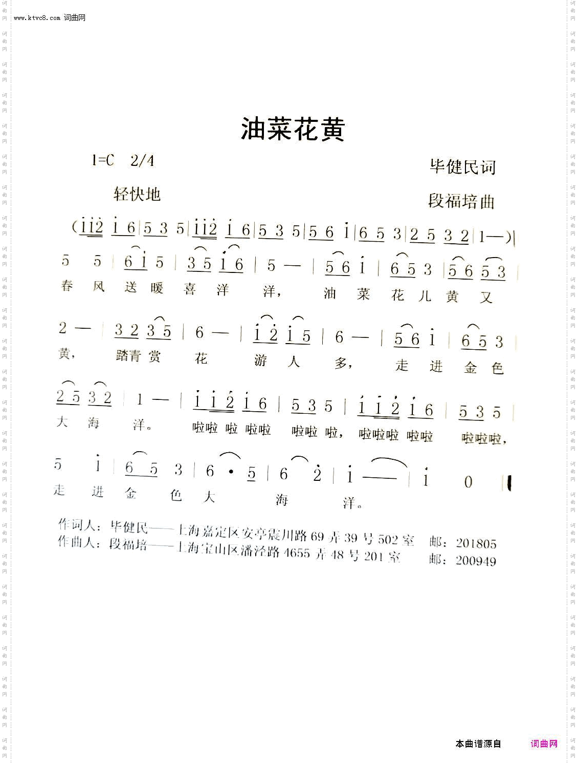 油菜花黄