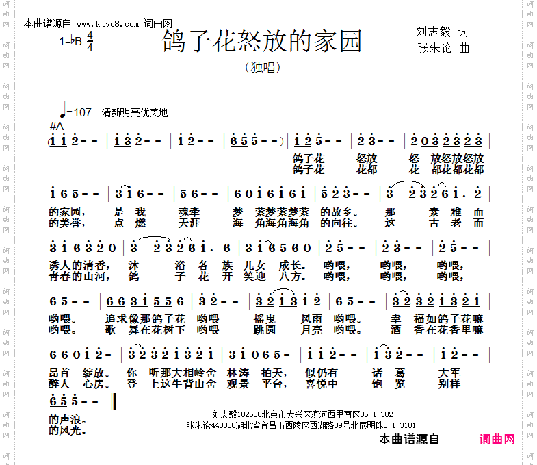 鸽子花怒放的家园