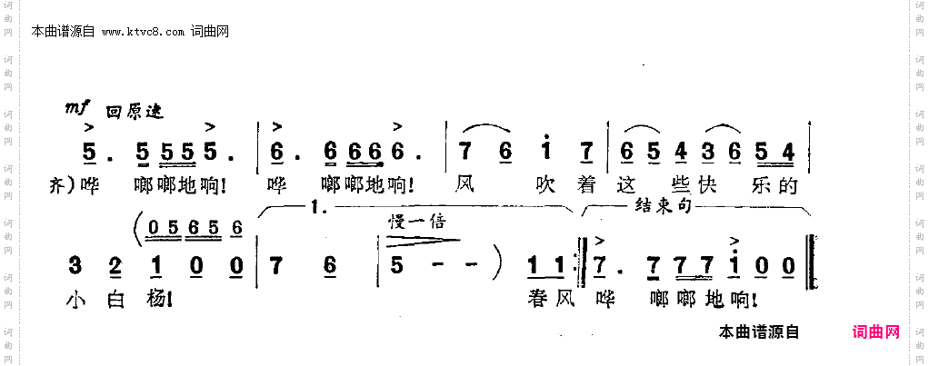 快乐的小白杨