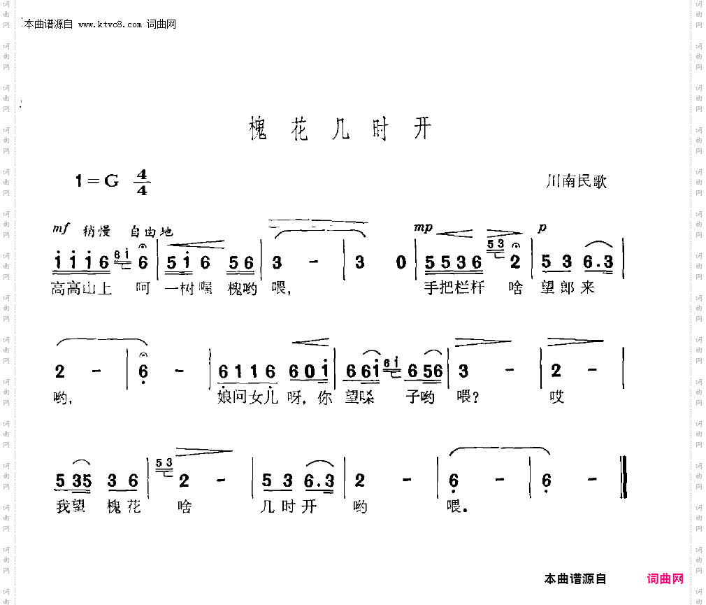 槐花几时开
