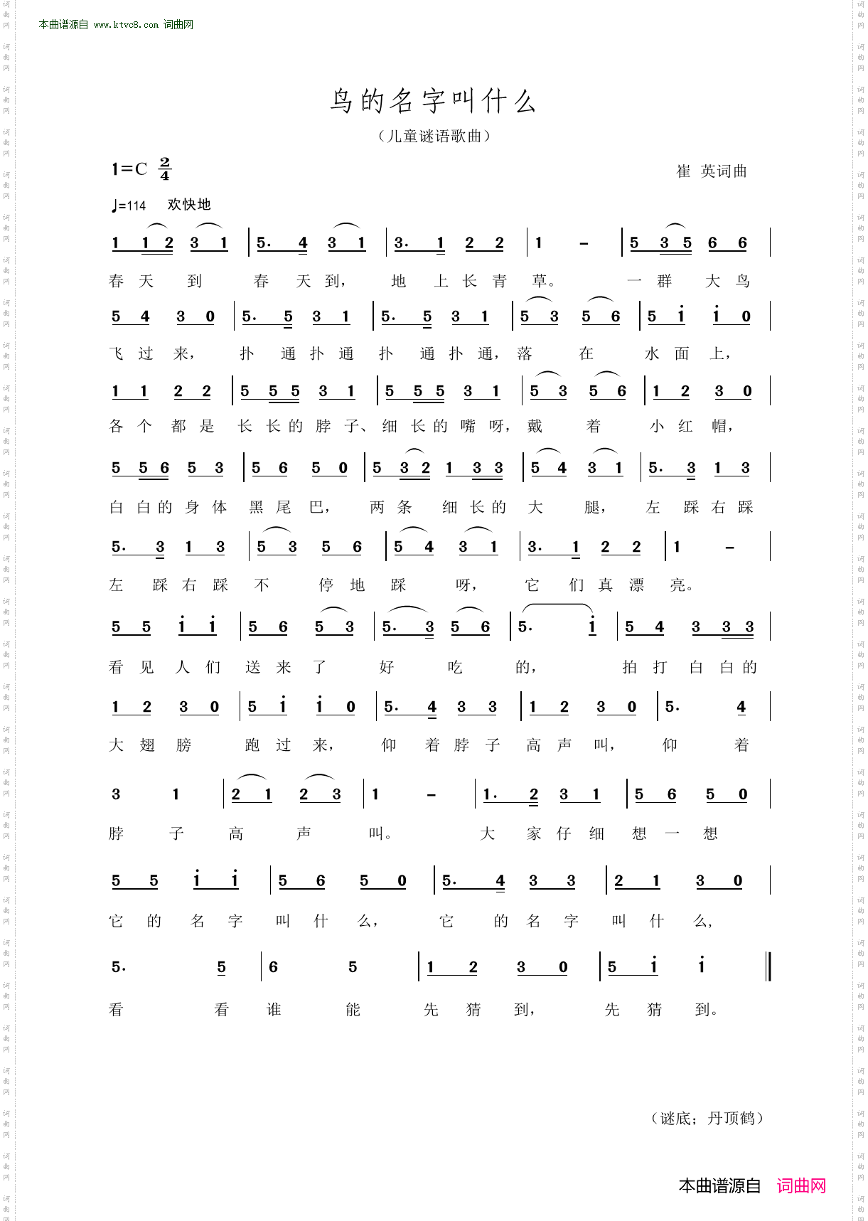 鸟的名字叫什么