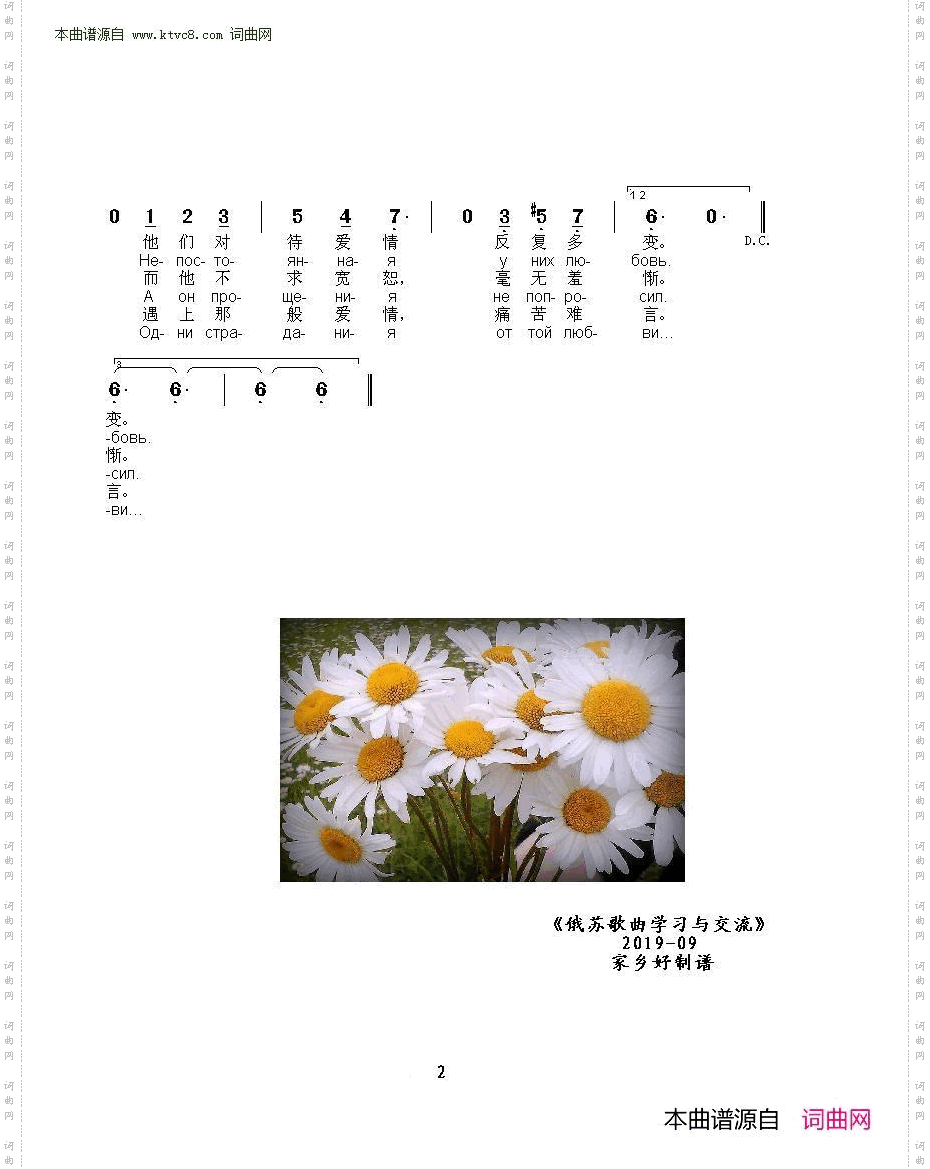 甘菊躲在一边_Ромашки спрятались 中俄简谱 