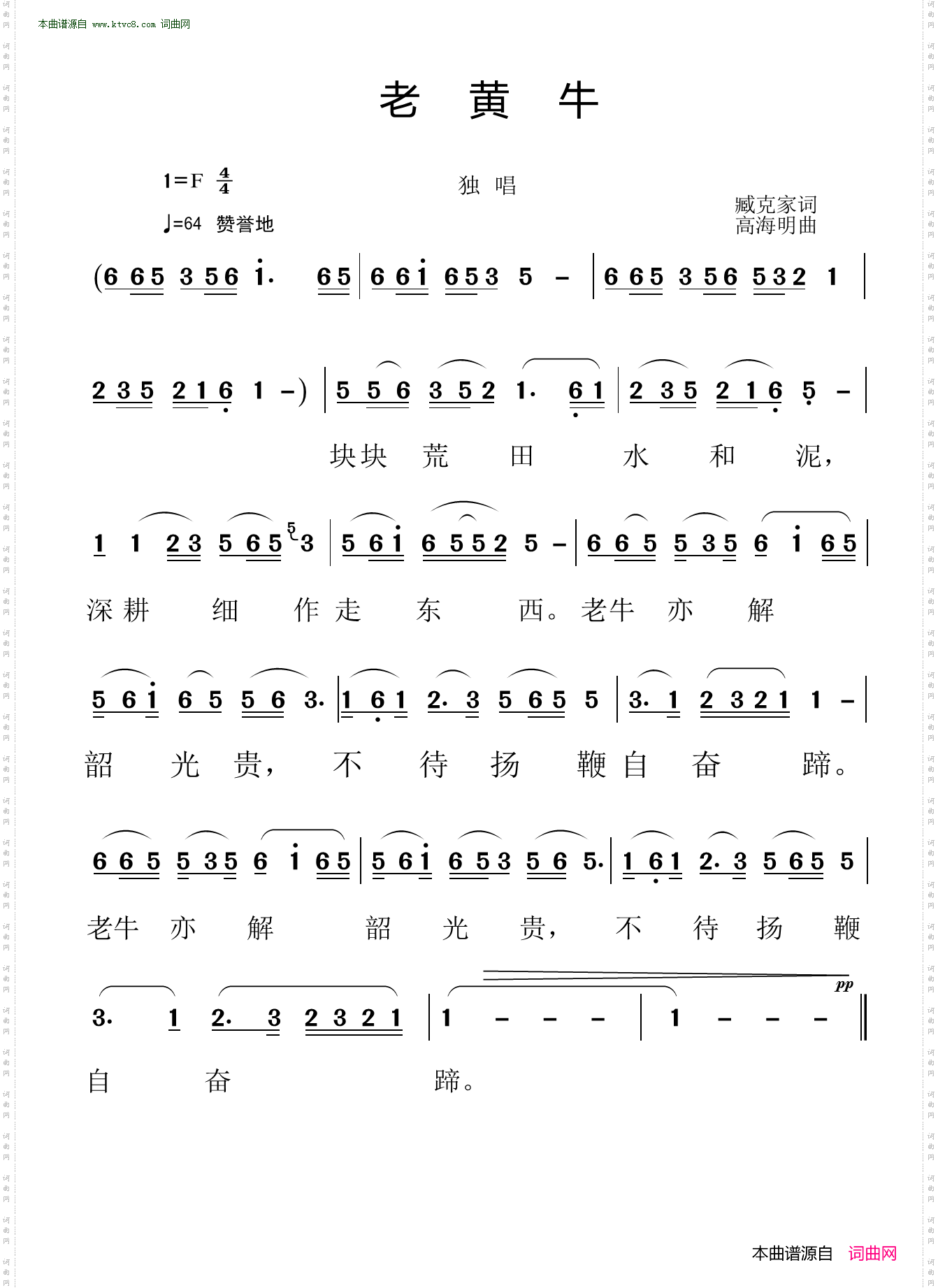 老黄牛