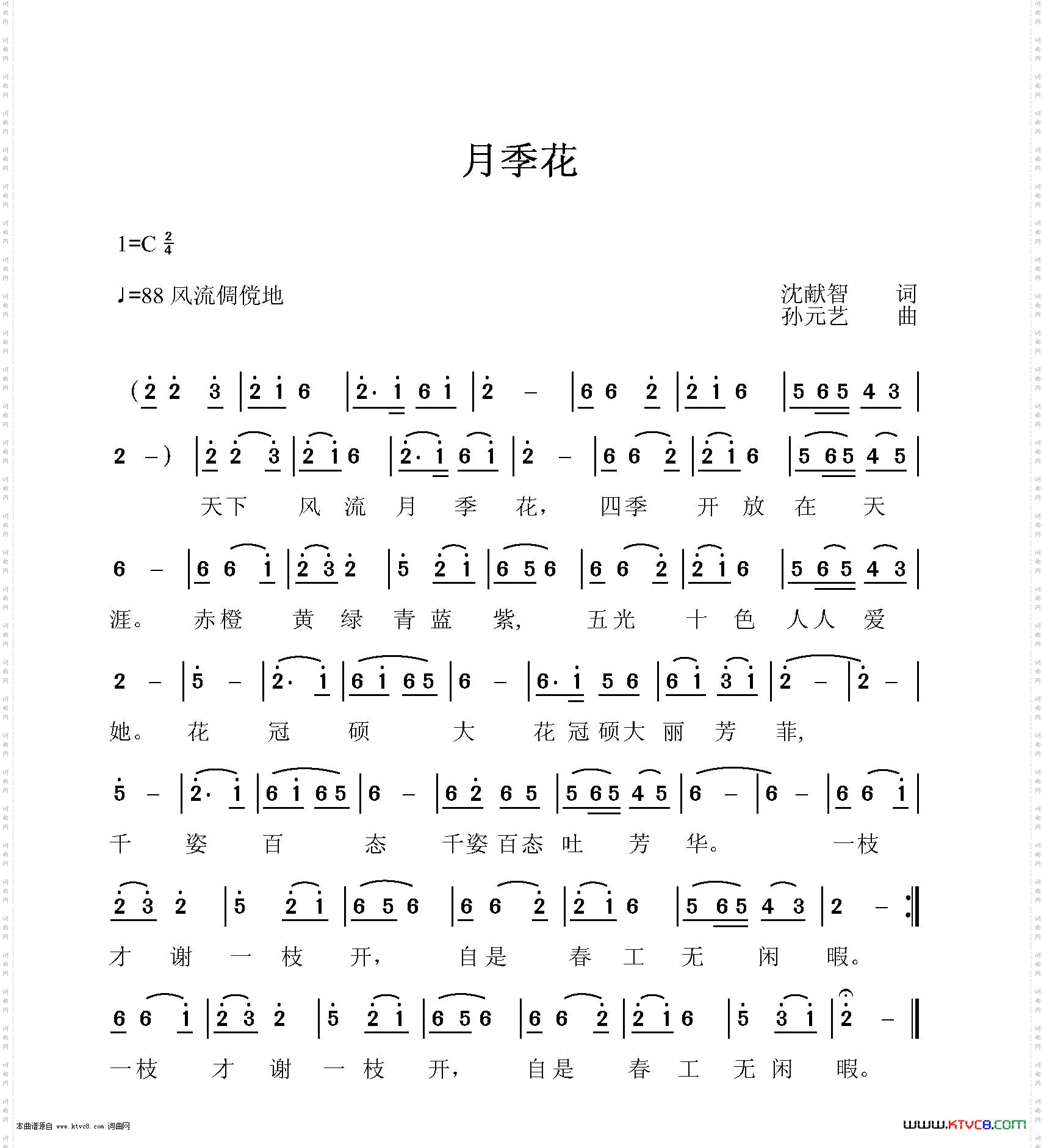 月季花