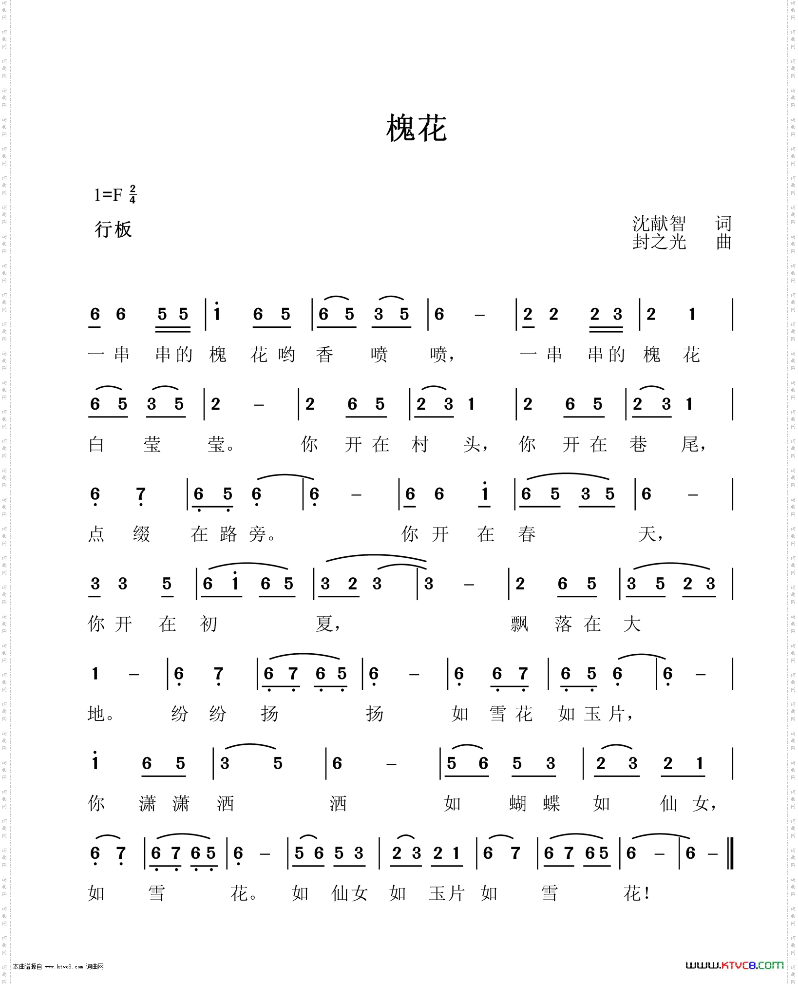 槐花