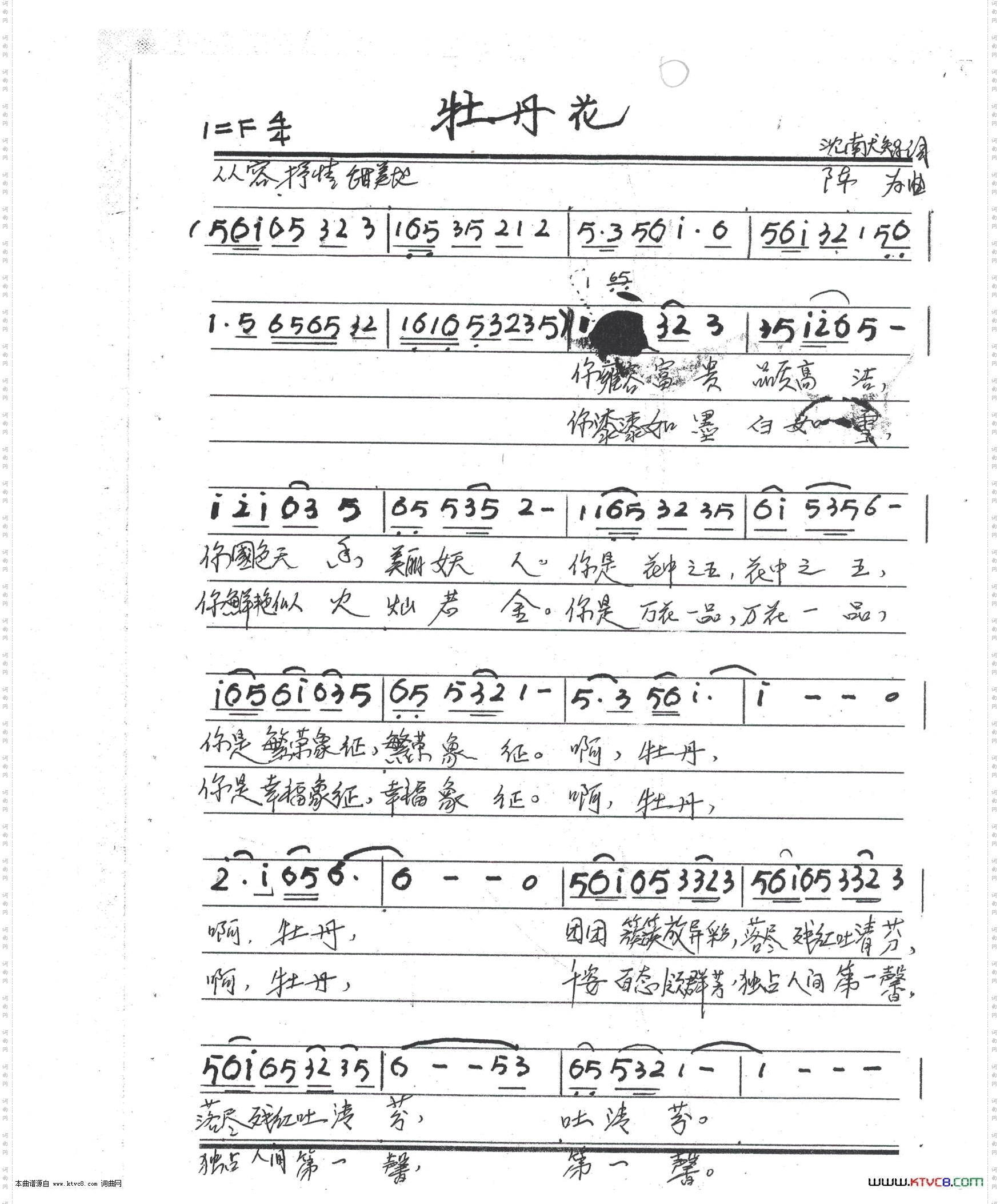 牡丹花