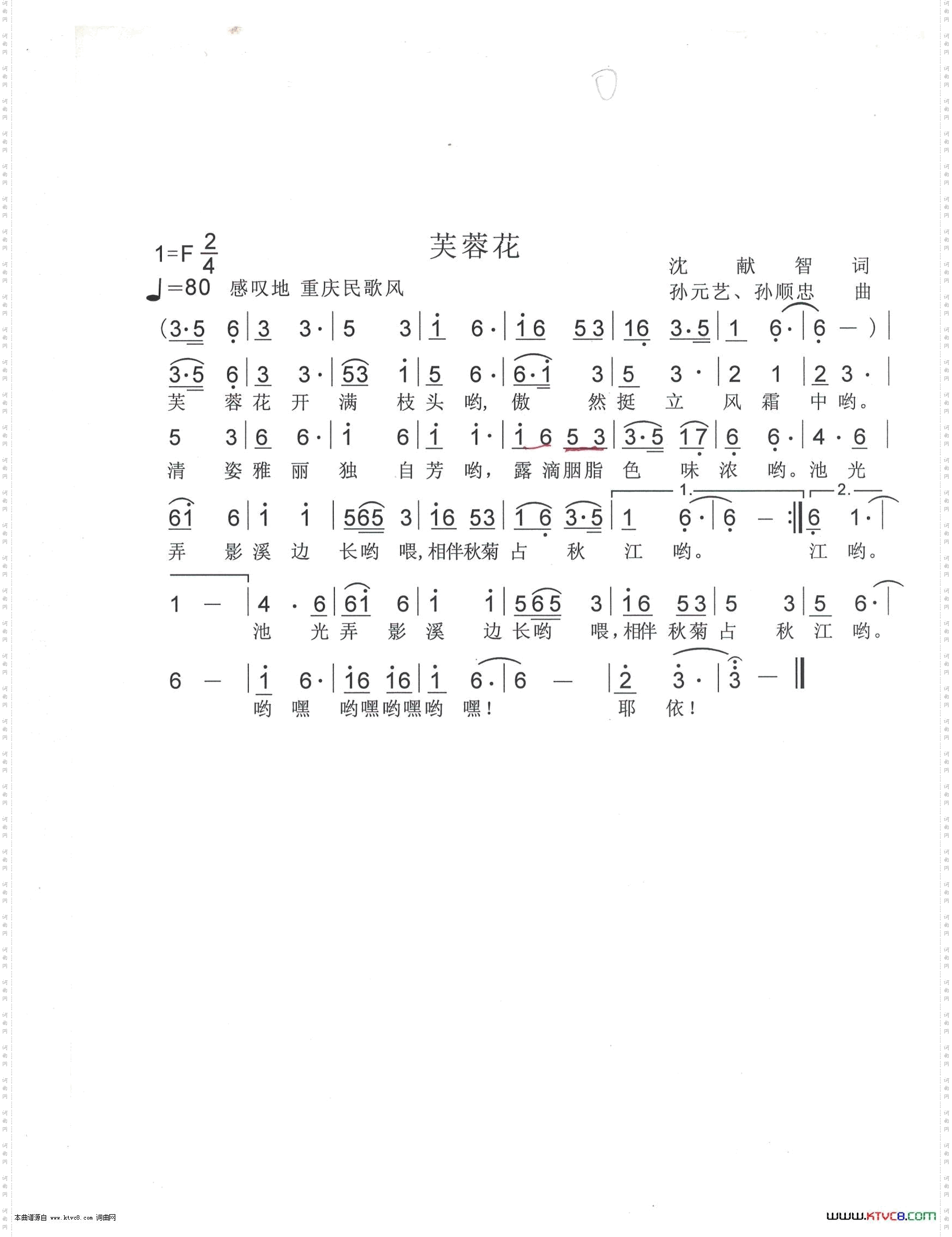 芙蓉花