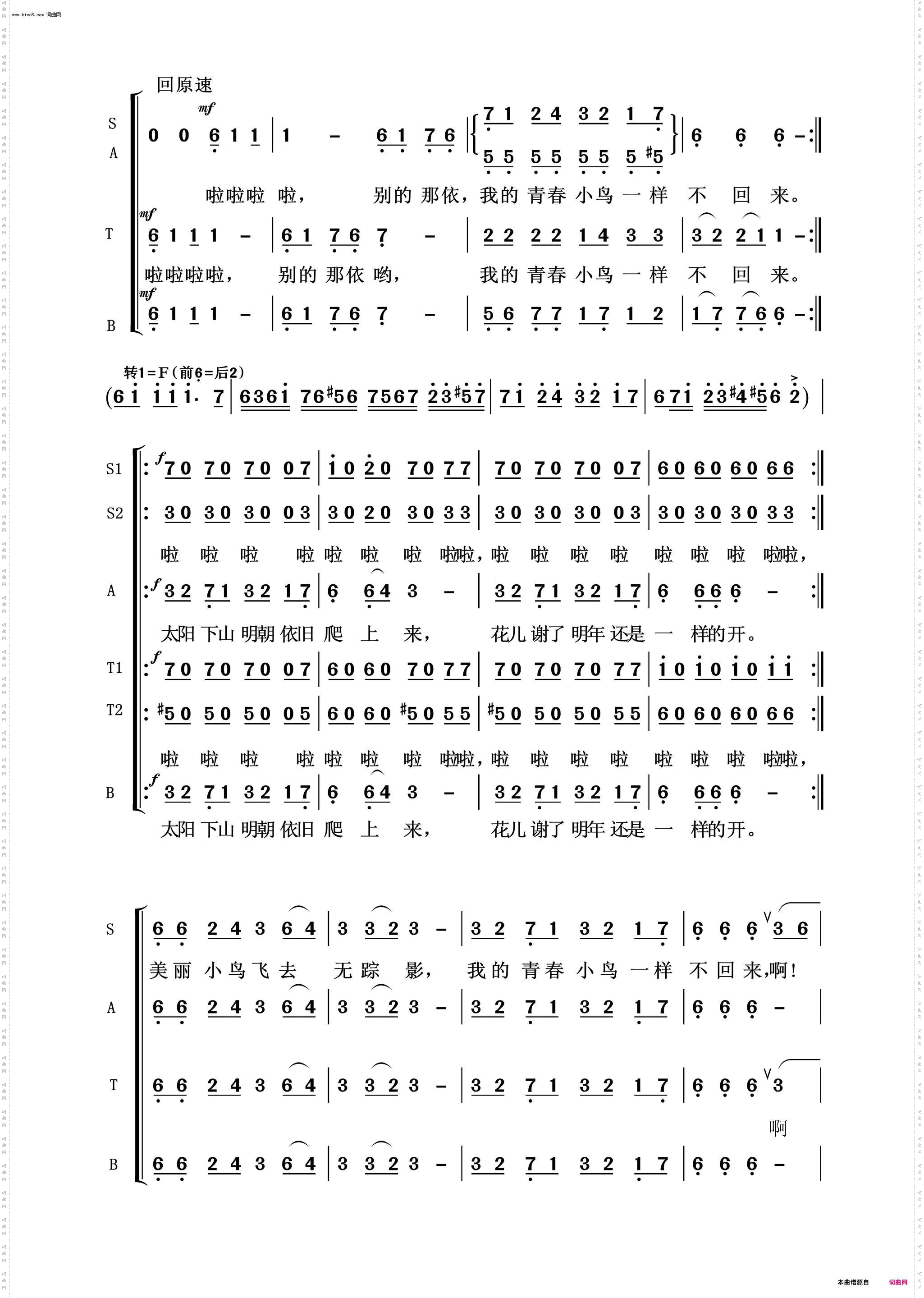 青春舞曲_常青放歌