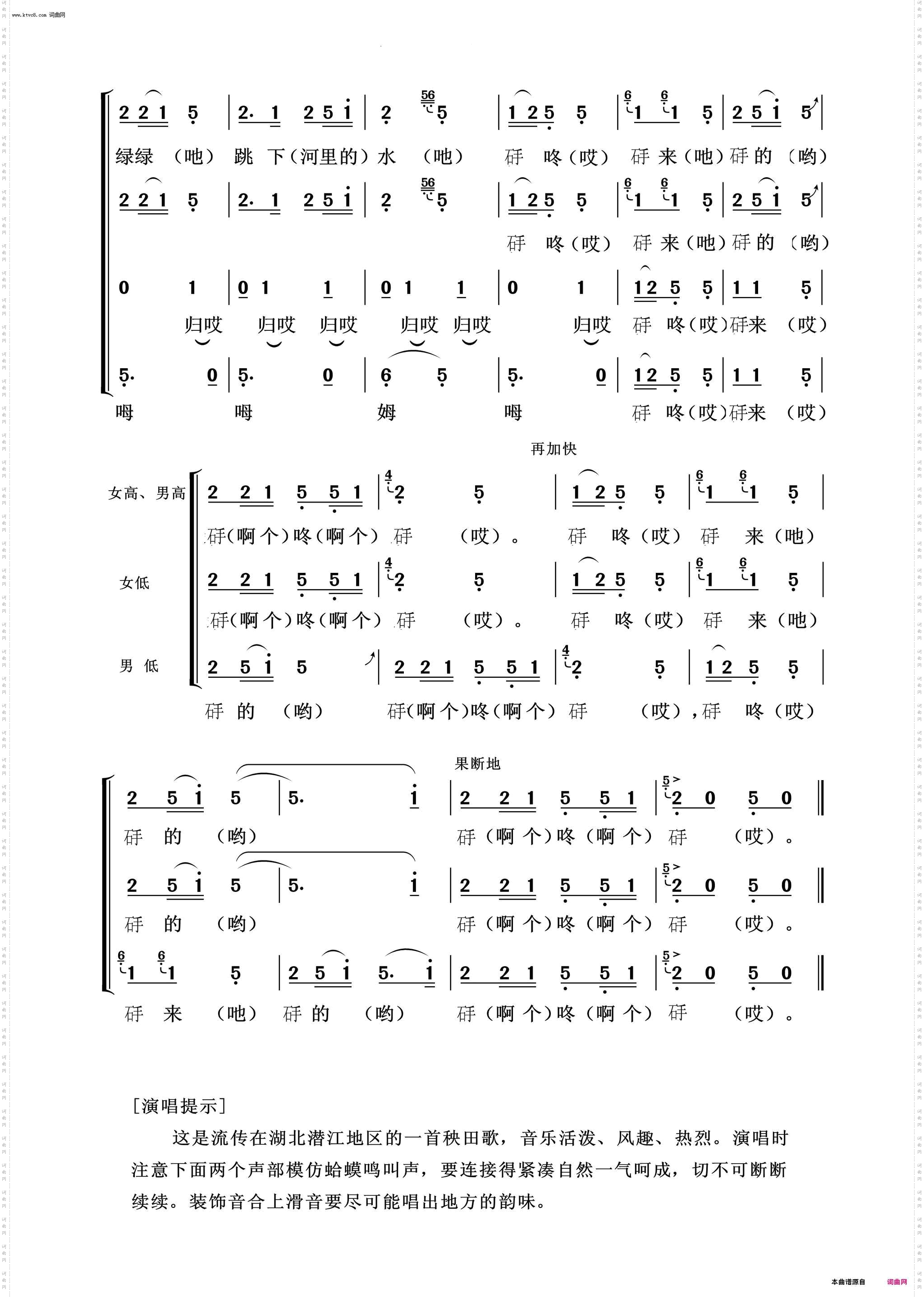 数蛤模_常青放歌
