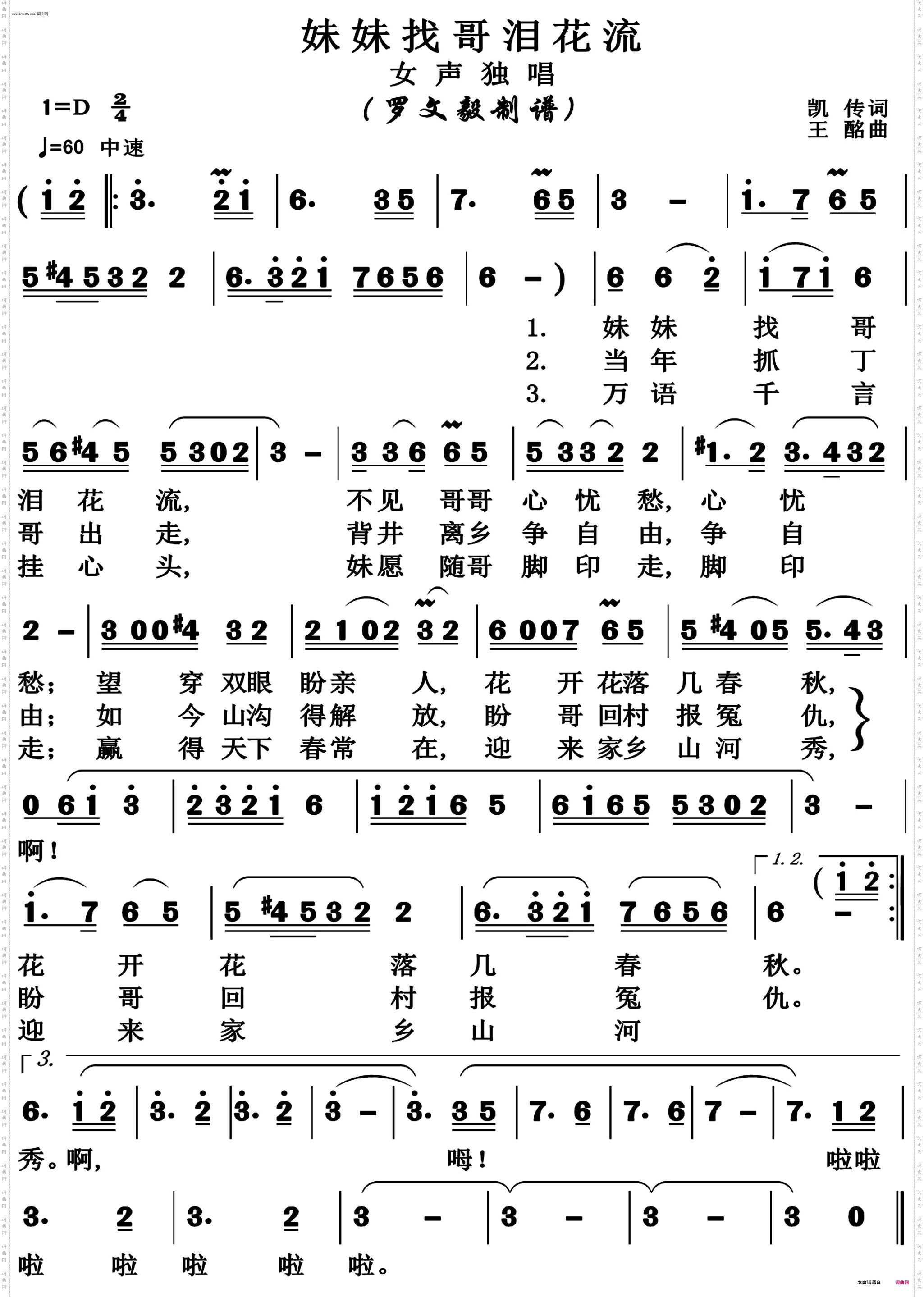 妹妹找哥泪花流