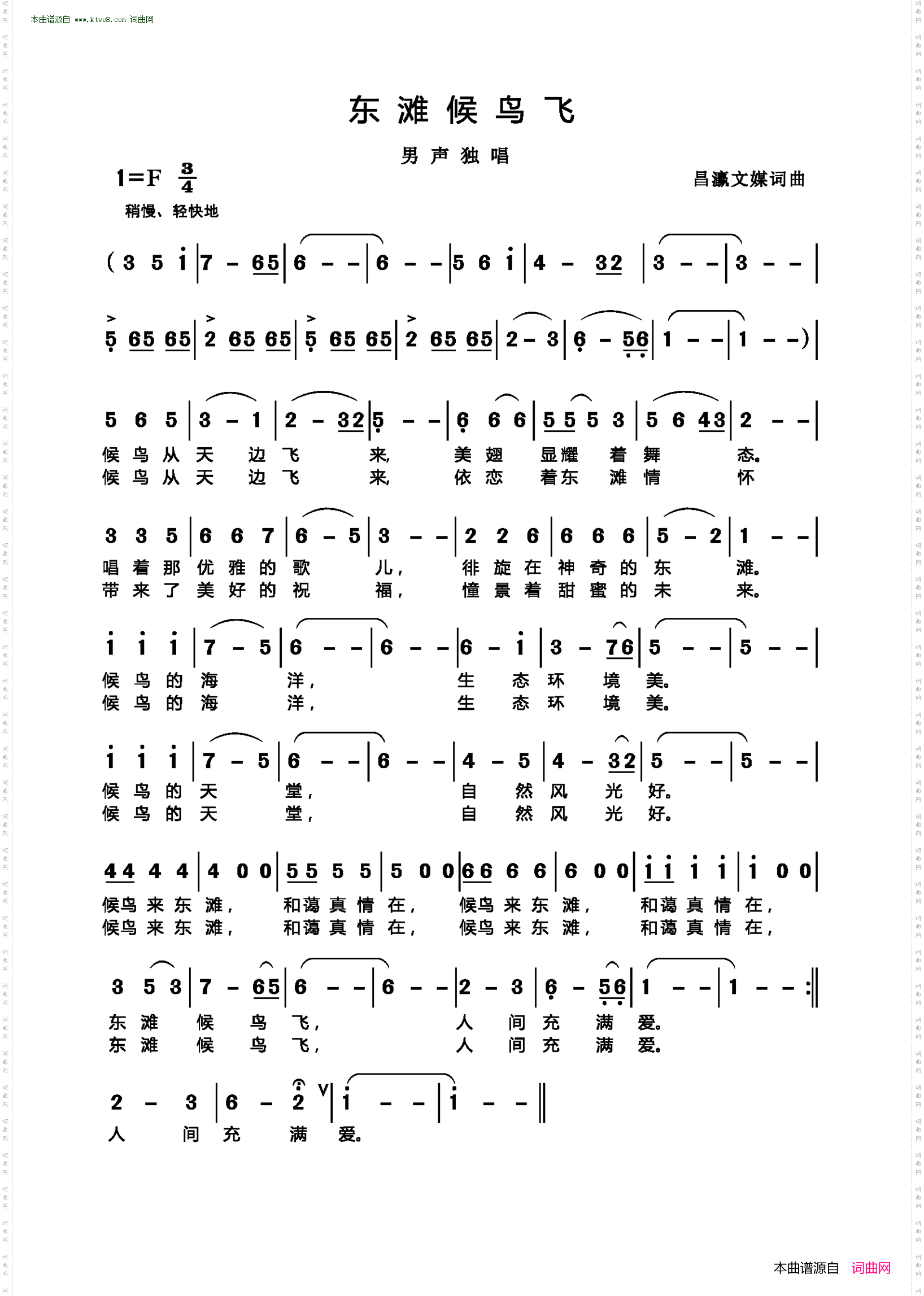 东滩候鸟飞