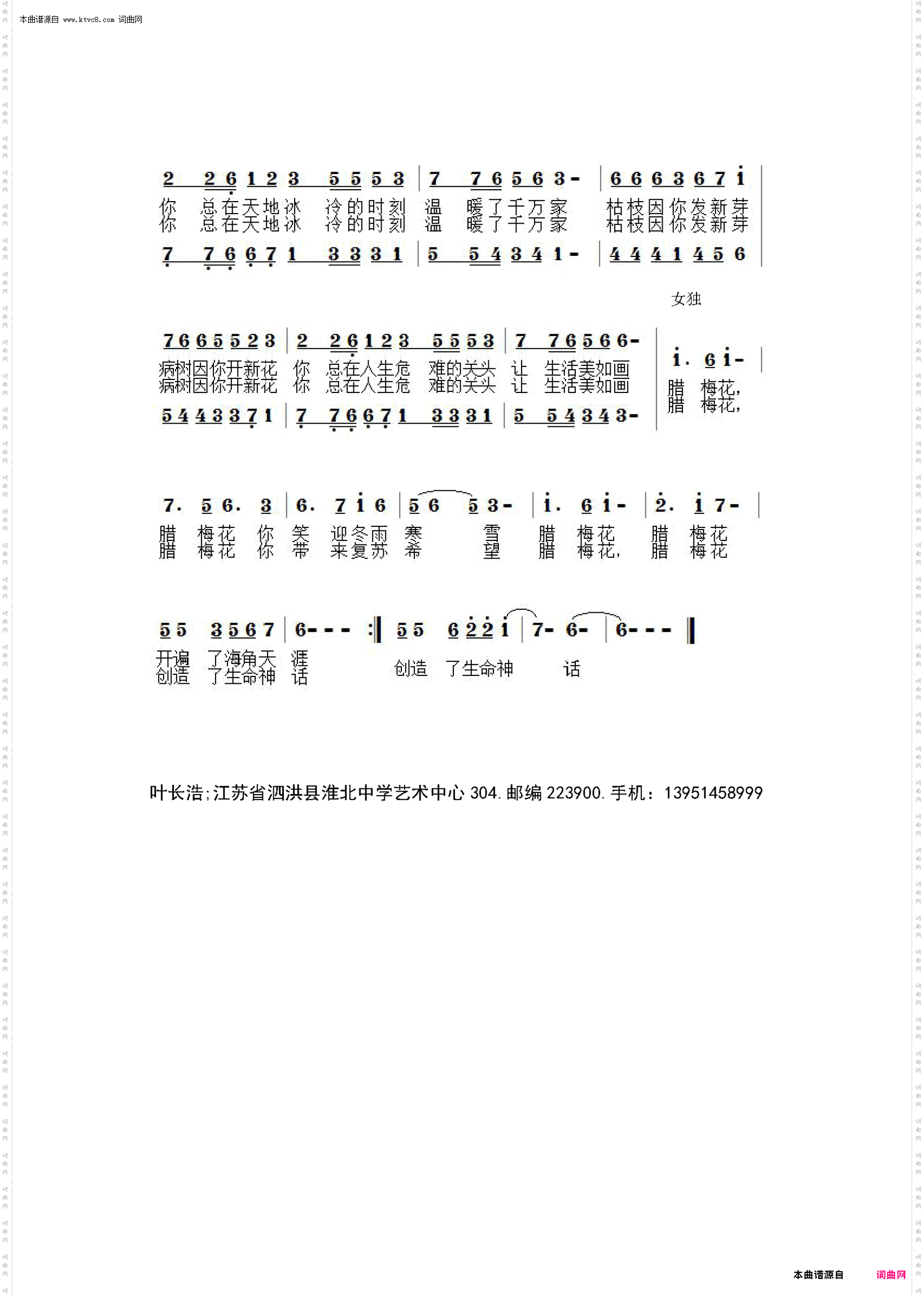 腊梅花
