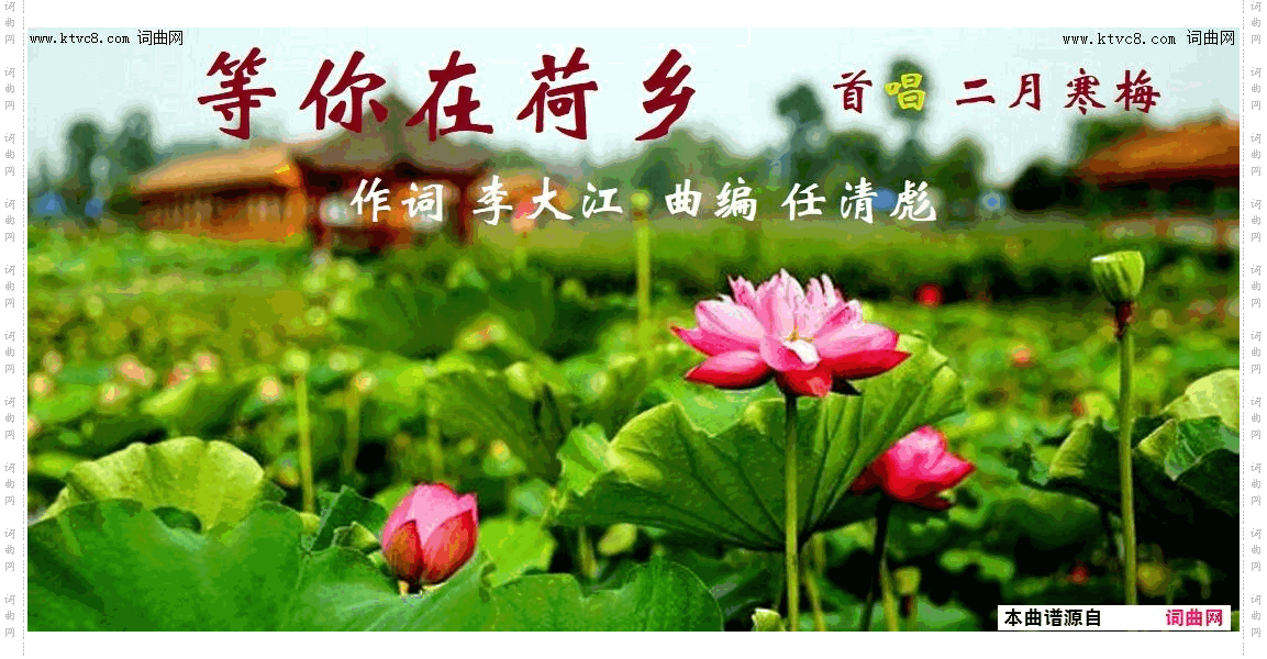 等你在荷乡