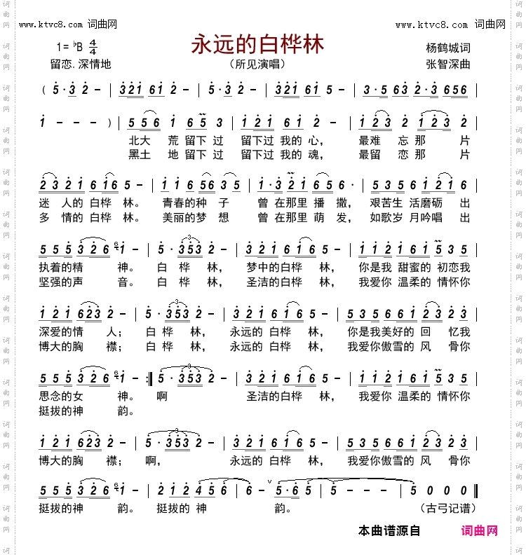 永远的白桦林