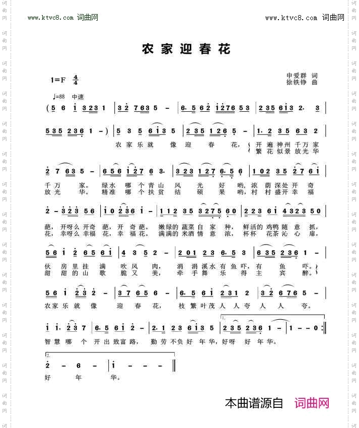 农家迎春花