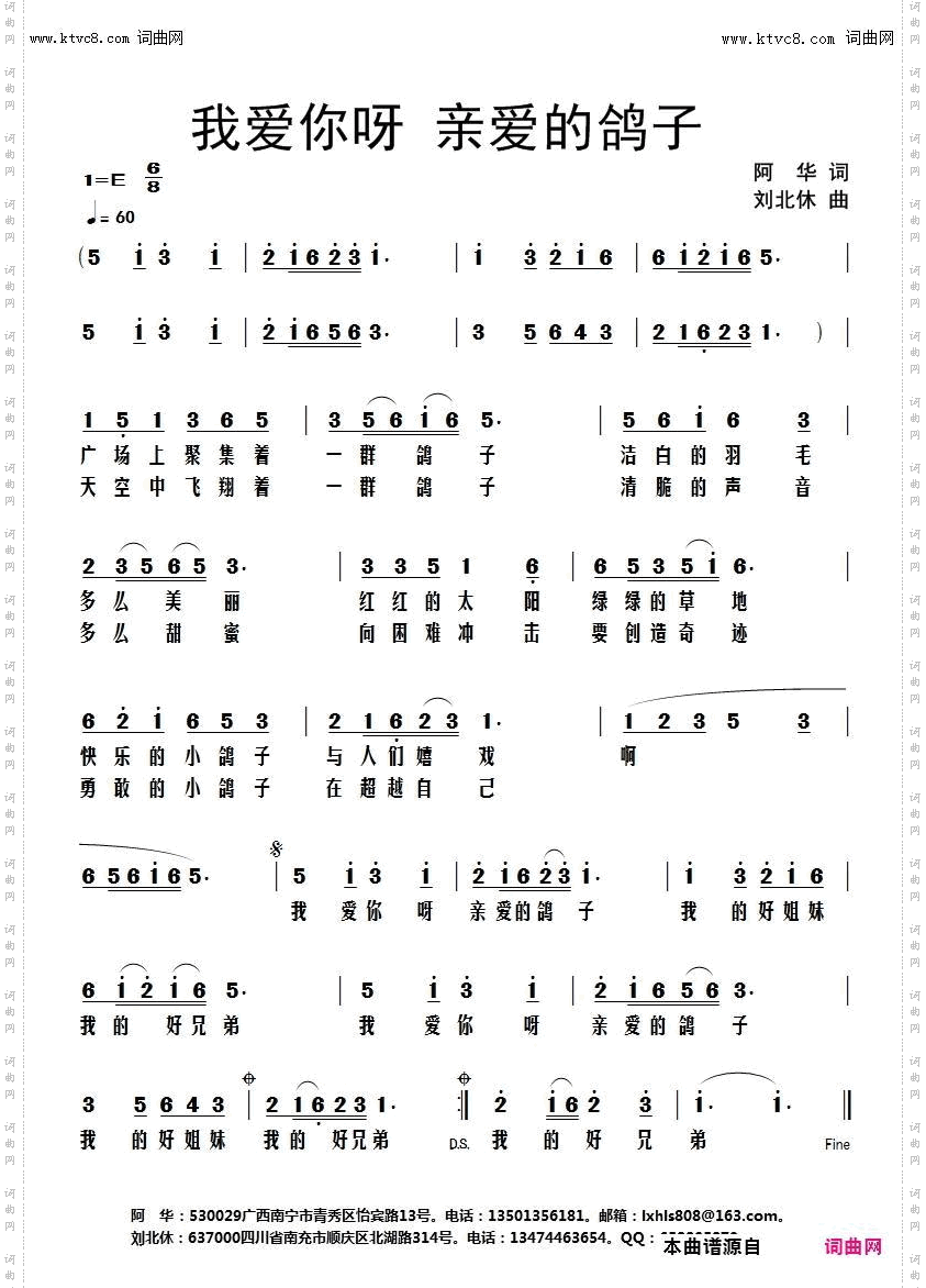 我爱你呀亲爱的鸽子