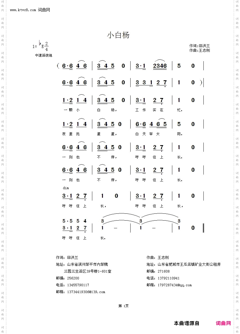 小白杨