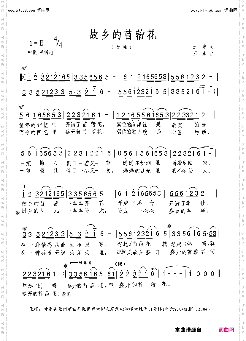 故乡的苜蓿花
