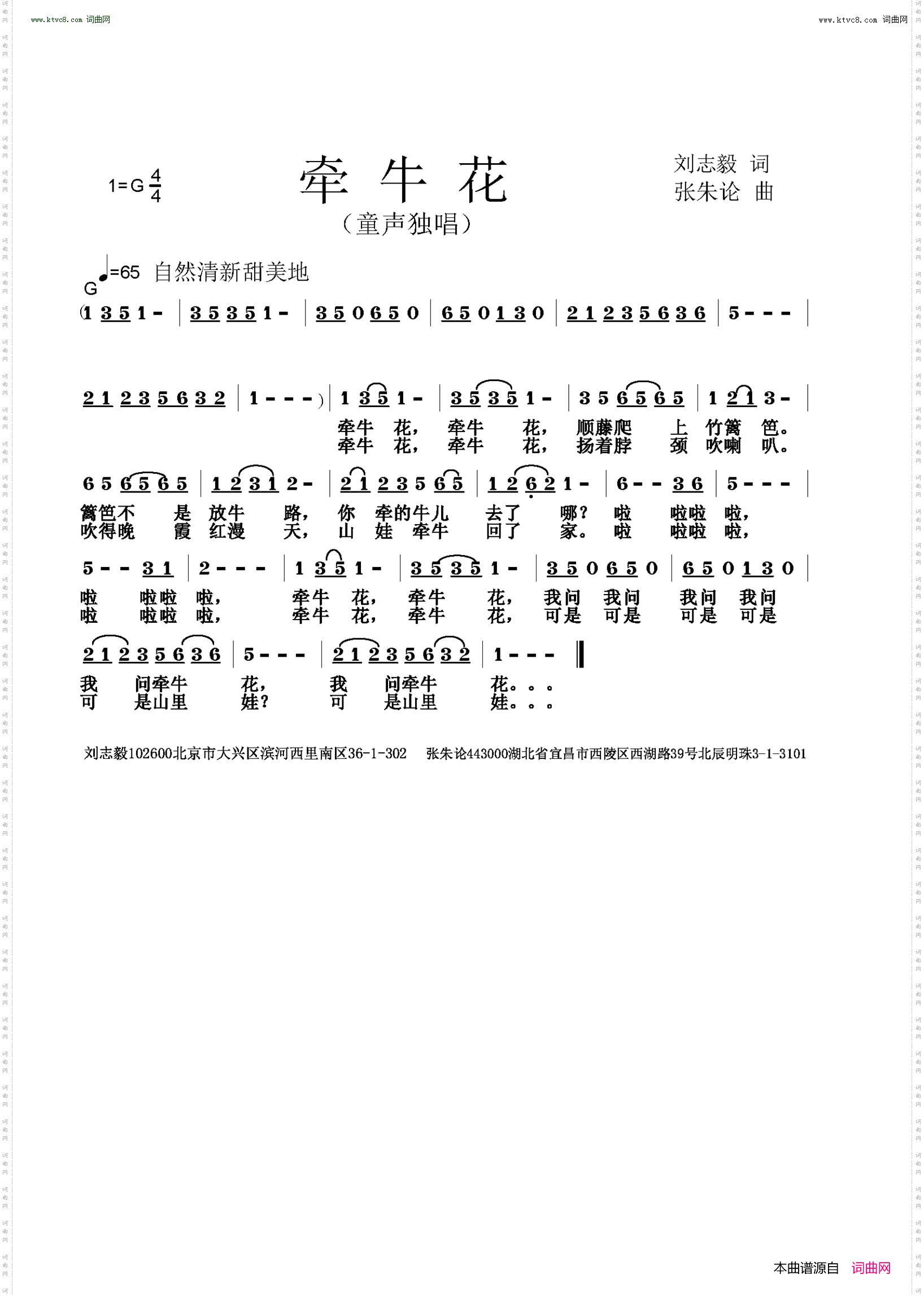 牵牛花
