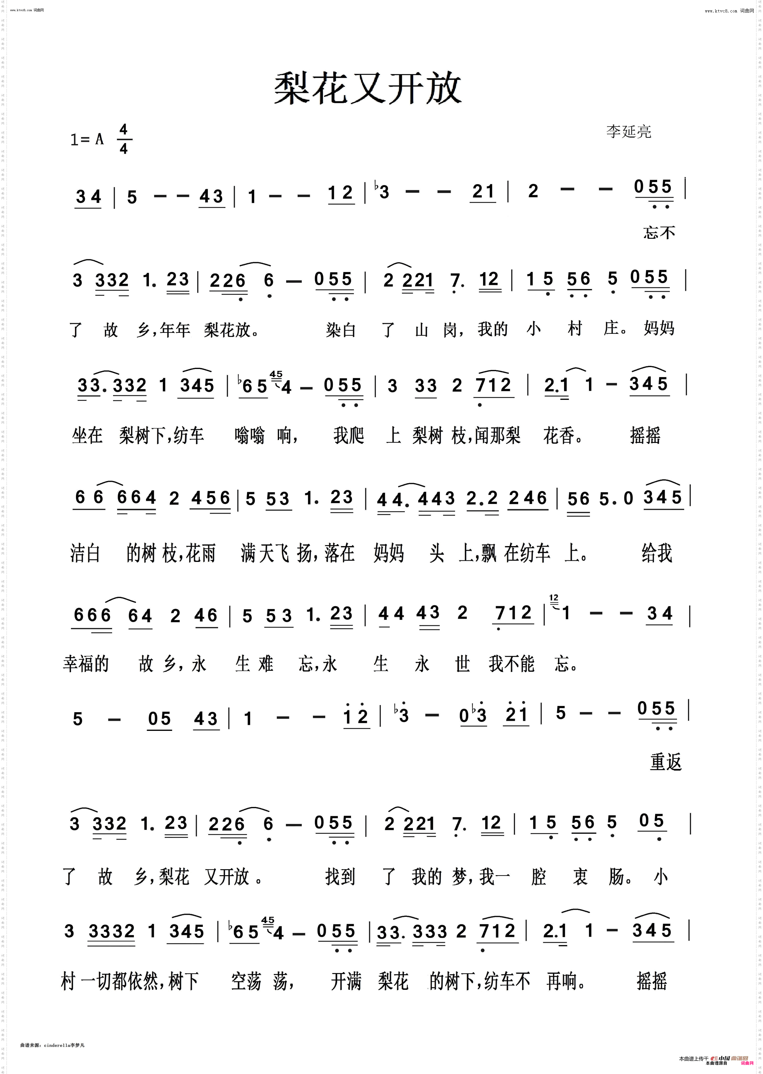 梨花又开放