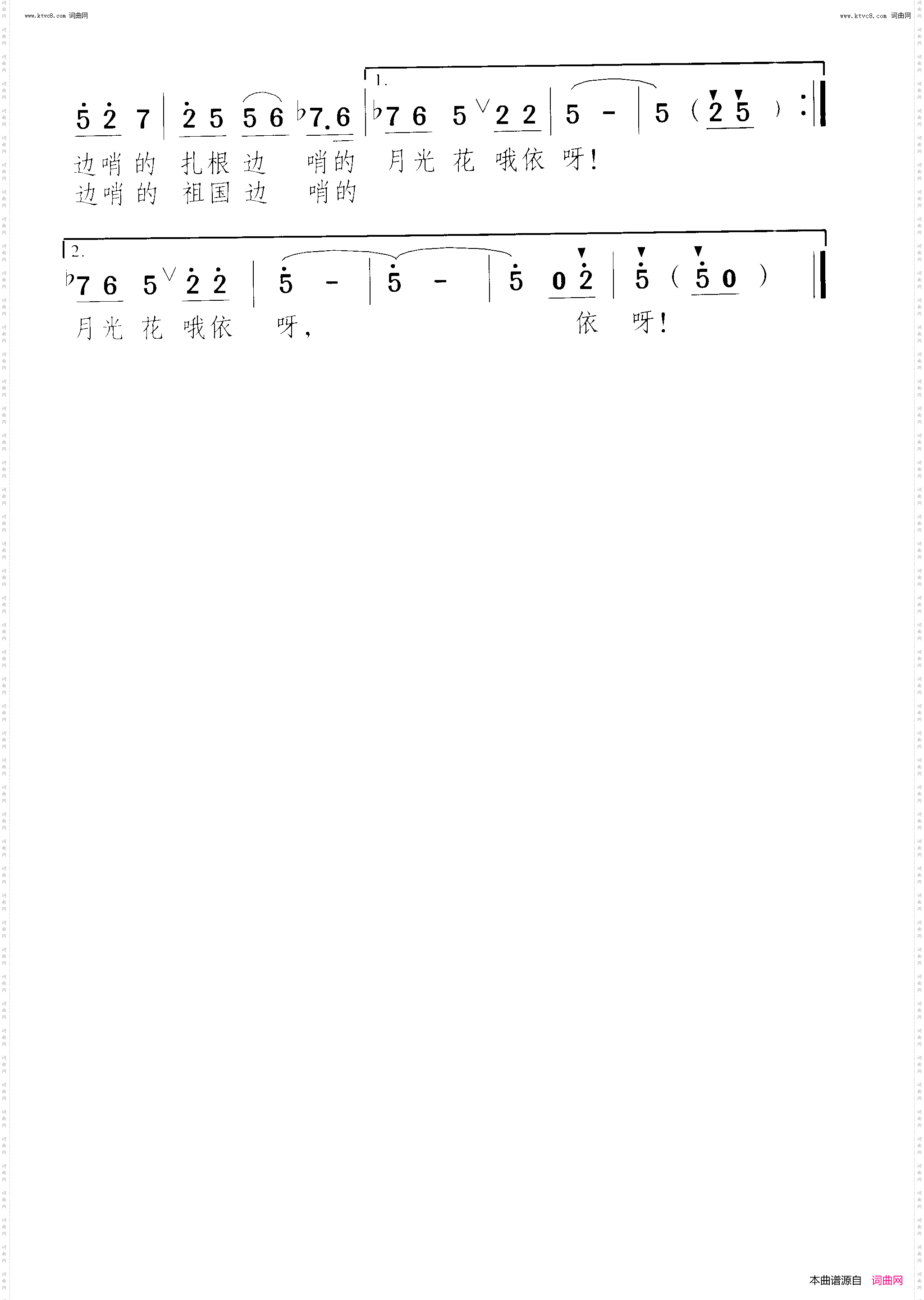 边哨的月光花