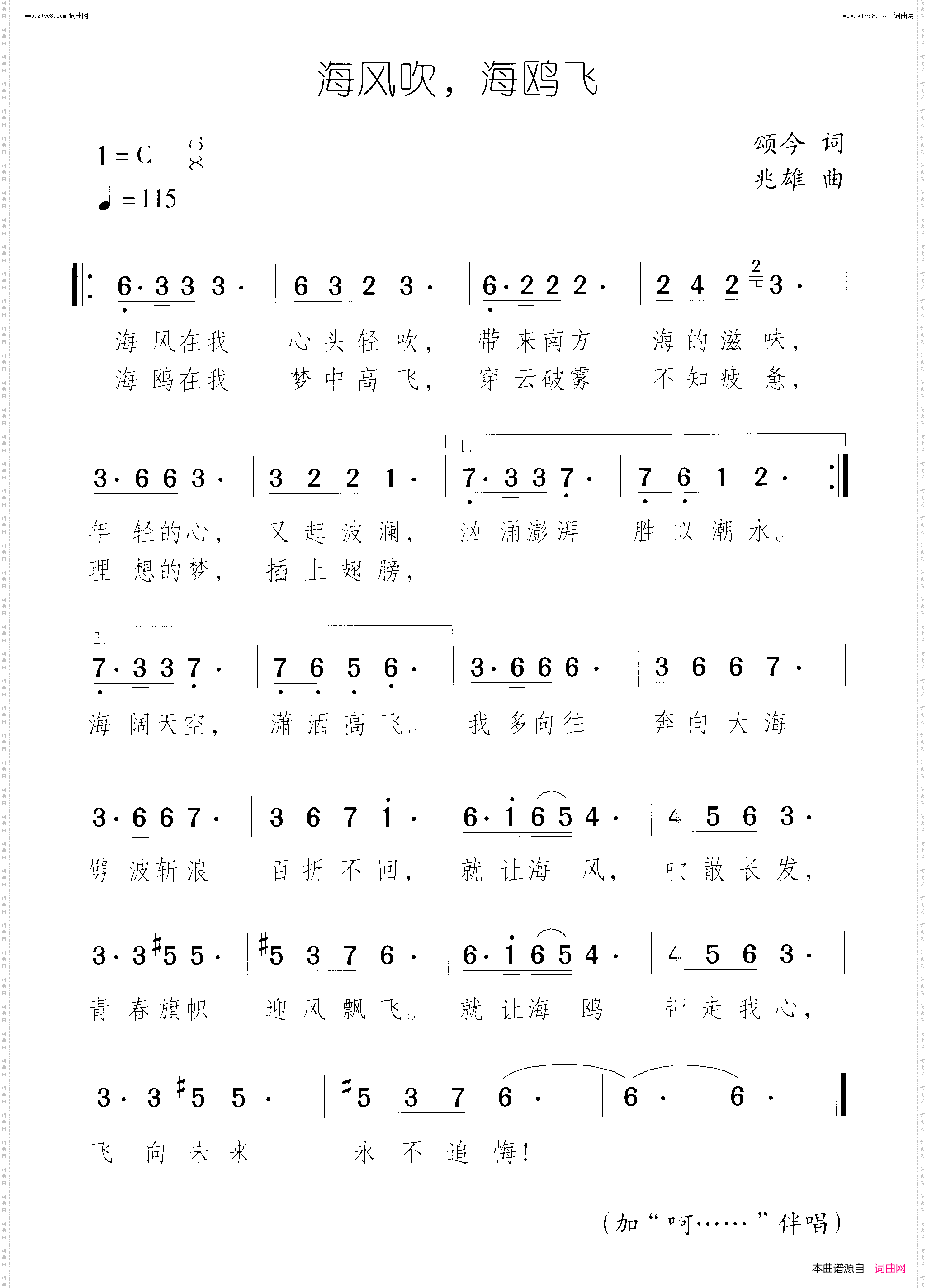 海风吹，海鸥飞
