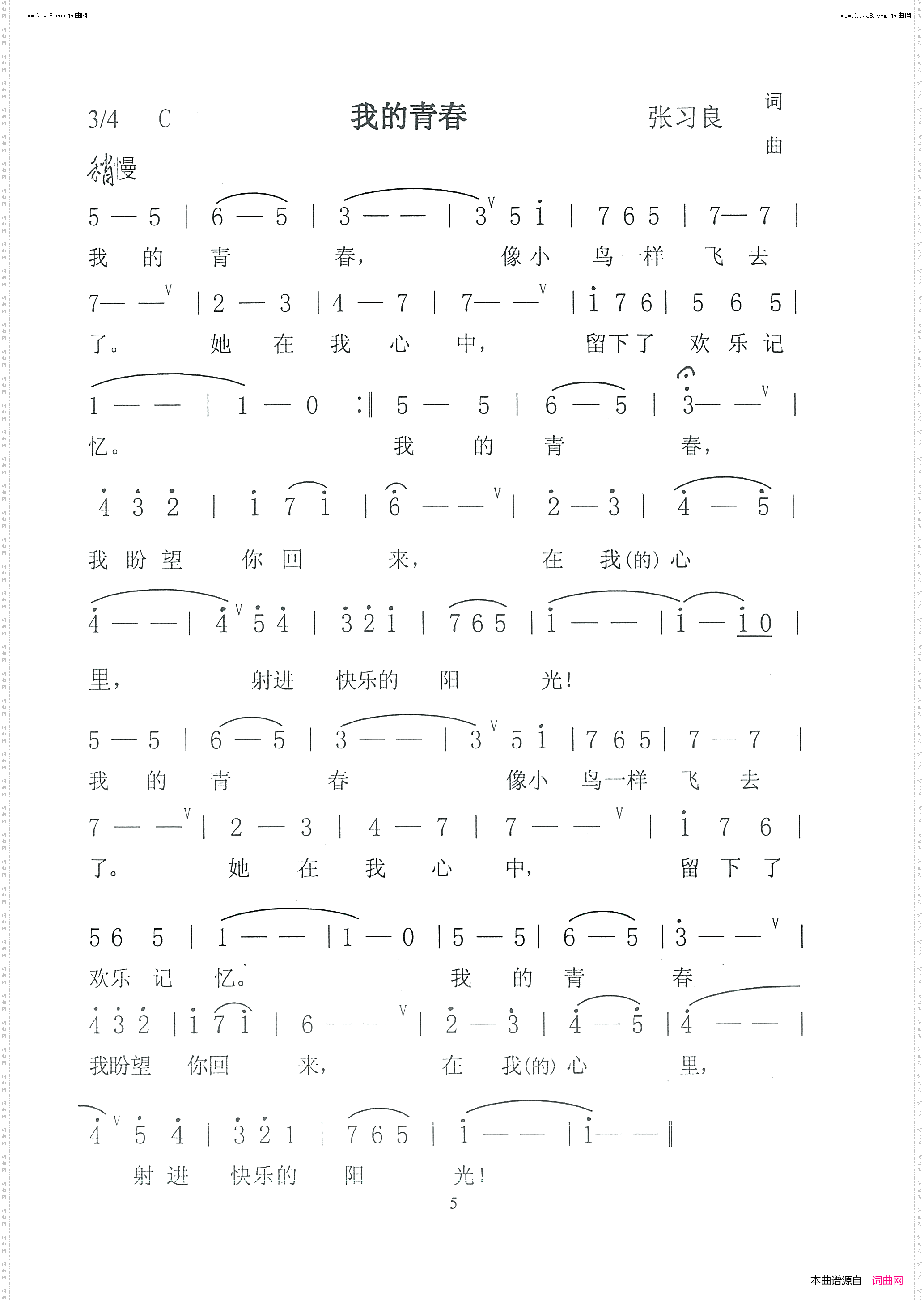 我的青春