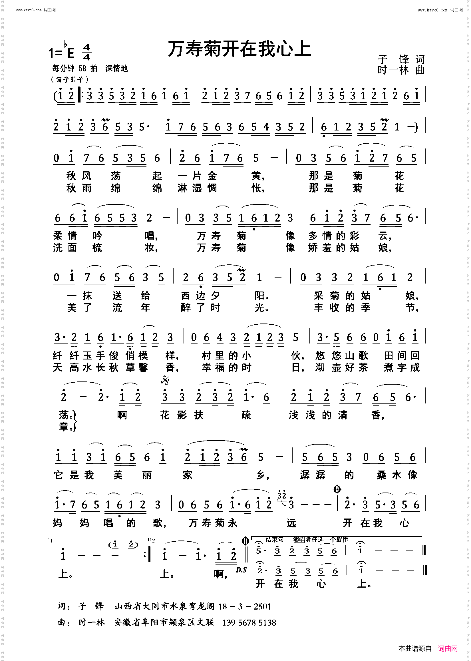 万寿菊花开在我心上