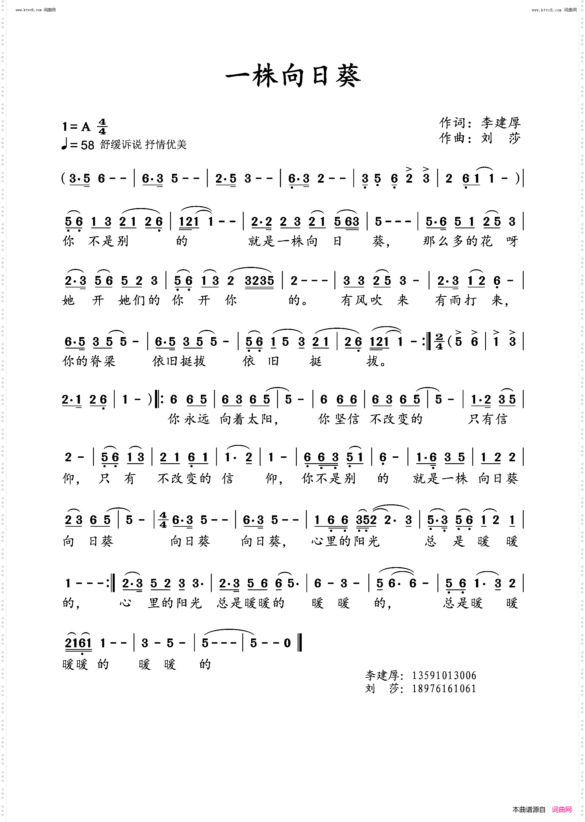 一株向日葵