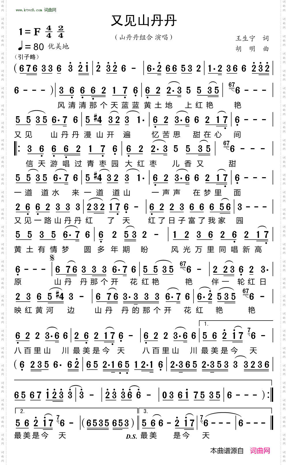 又见山丹丹