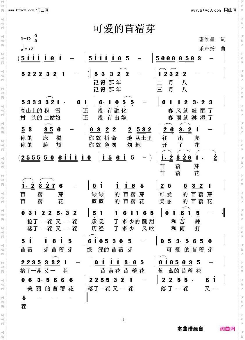 可爱的苜蓿芽