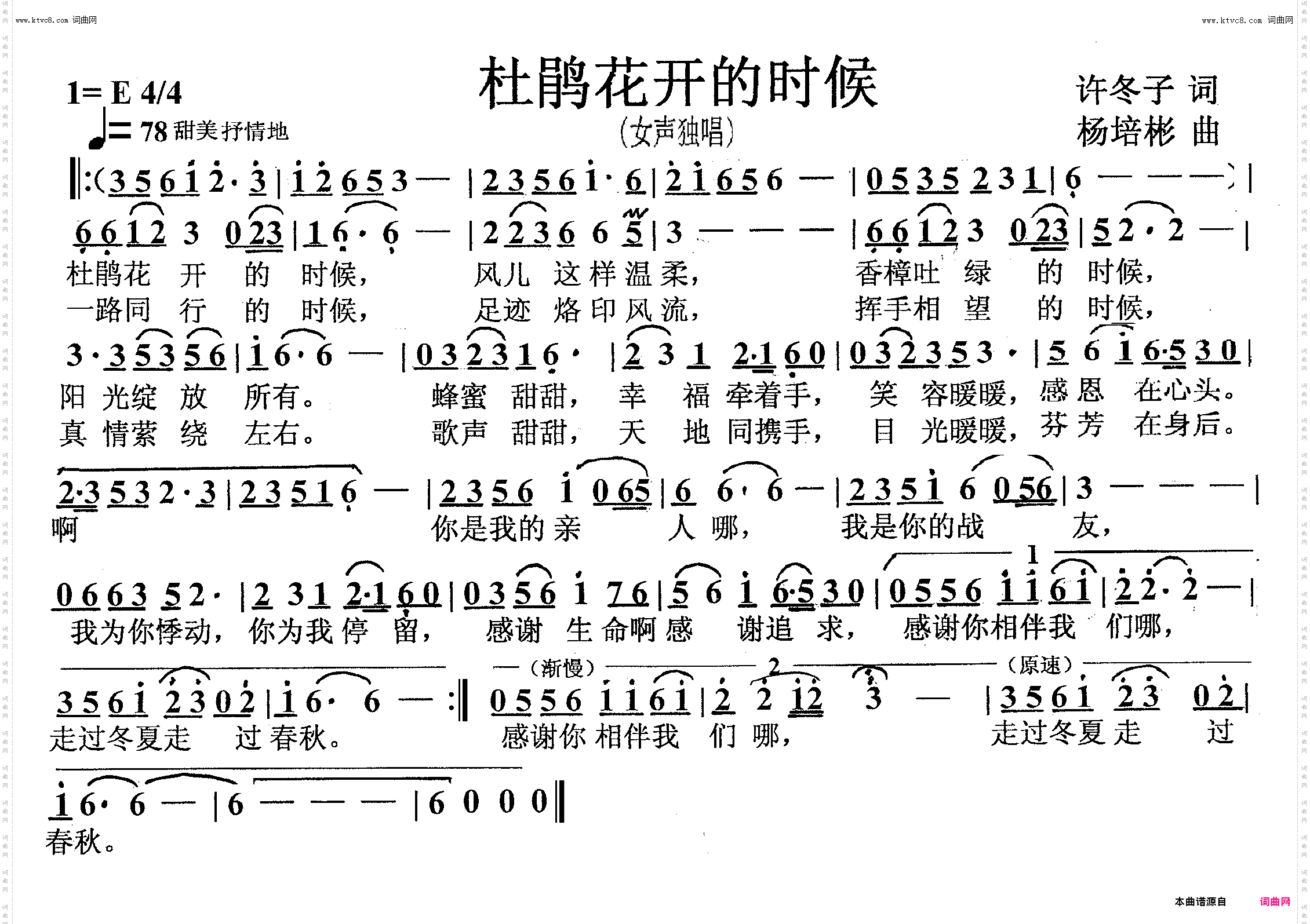 杜鹃花开的时候_女声独唱